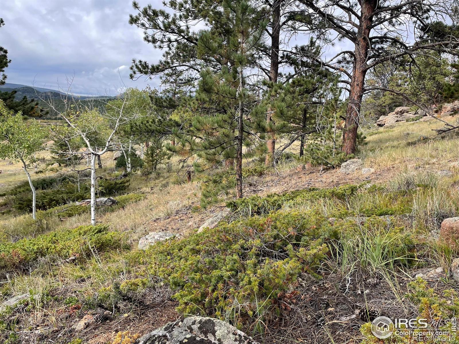 MLS Image #38 for 123  tahlequah way,red feather lakes, Colorado