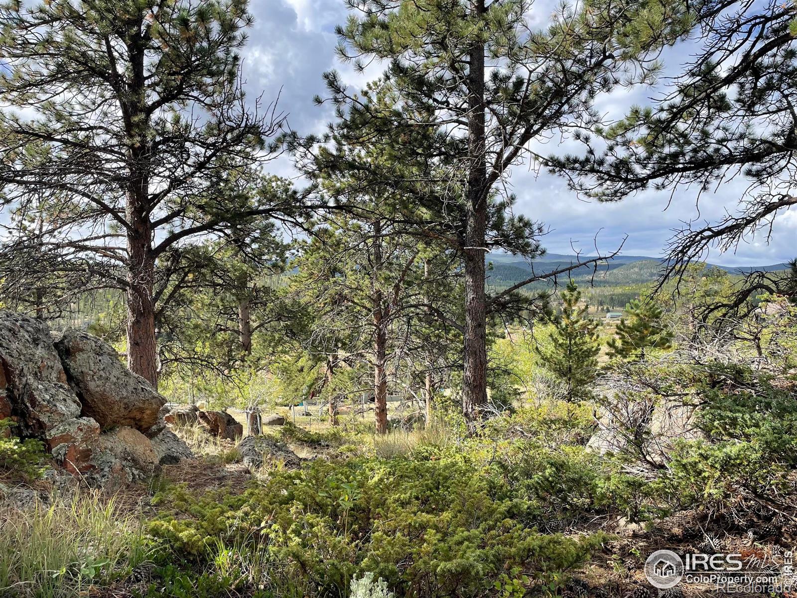 MLS Image #39 for 123  tahlequah way,red feather lakes, Colorado