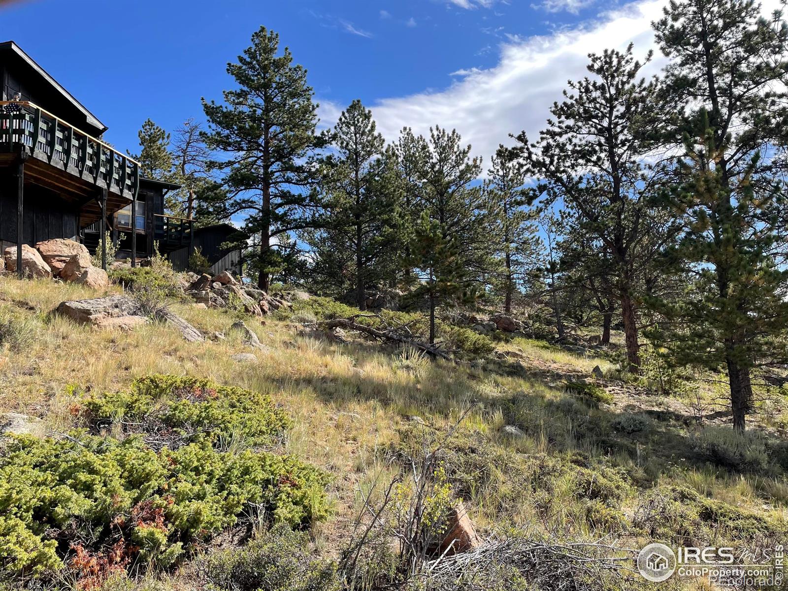 MLS Image #8 for 123  tahlequah way,red feather lakes, Colorado