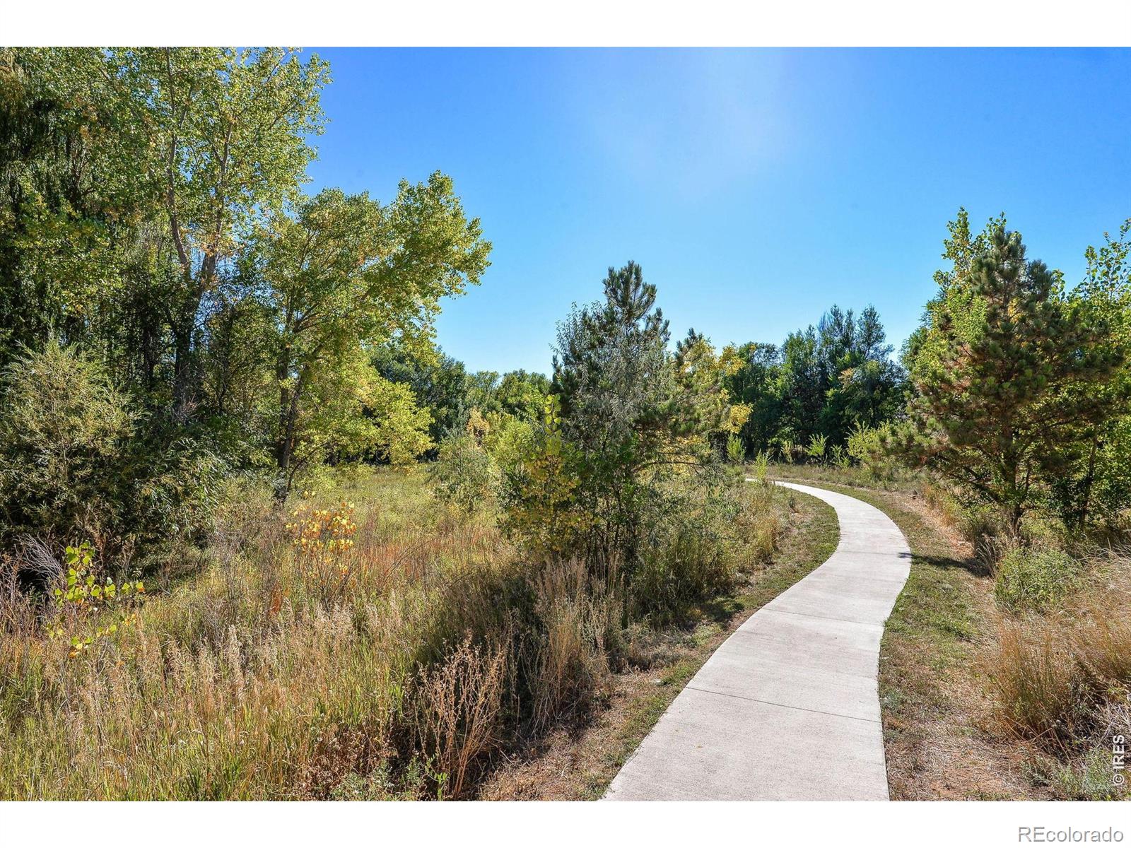 MLS Image #40 for 2025  mathews street,fort collins, Colorado