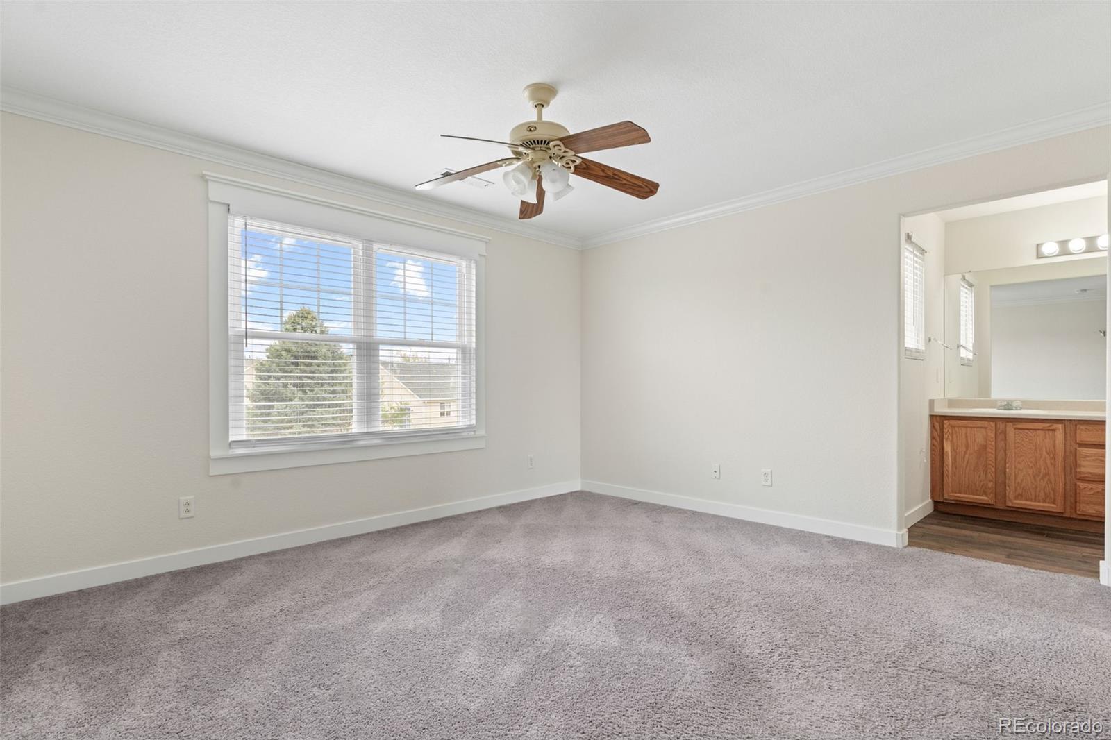 MLS Image #17 for 1213 n heritage avenue,castle rock, Colorado