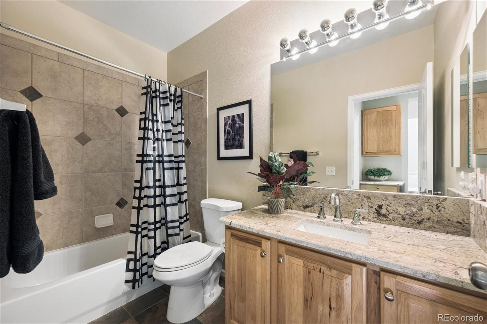 MLS Image #11 for 3853  stonebrush drive,littleton, Colorado