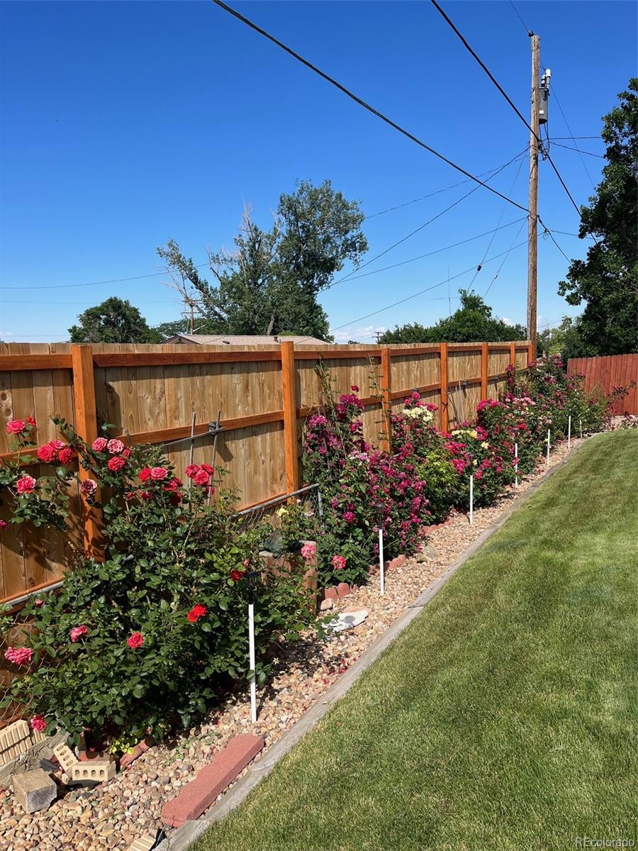 MLS Image #31 for 1231 w 102nd place,northglenn, Colorado