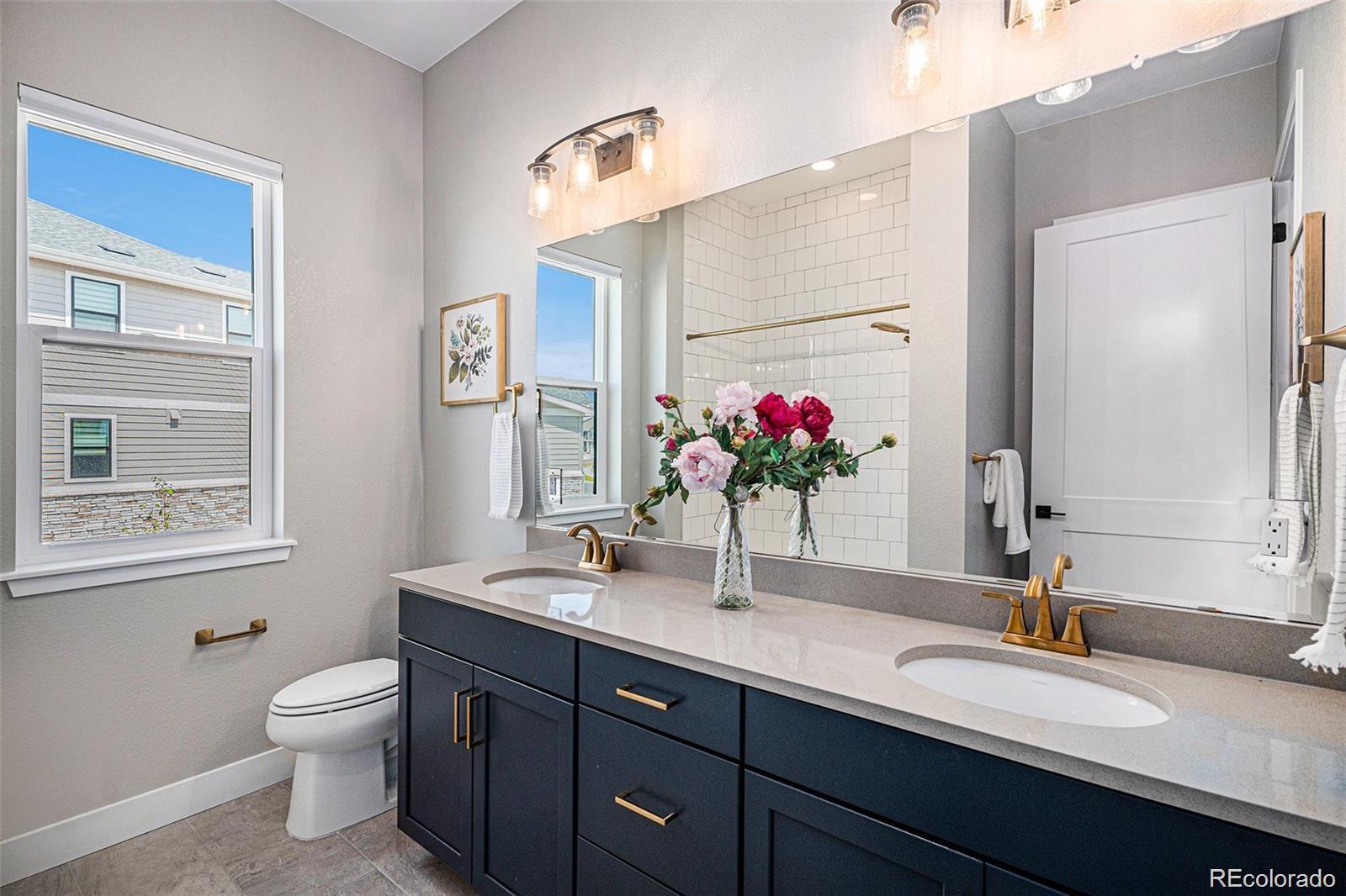 MLS Image #25 for 14341  beebalm loop,parker, Colorado
