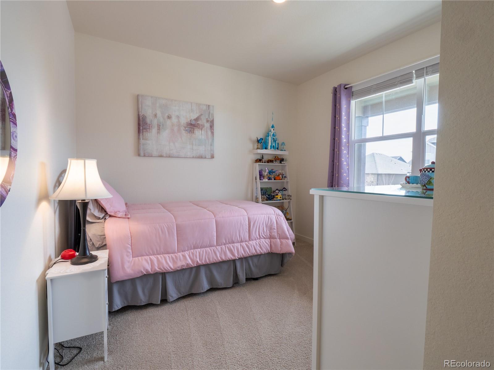 MLS Image #10 for 18141  prince hill cir. ,parker, Colorado