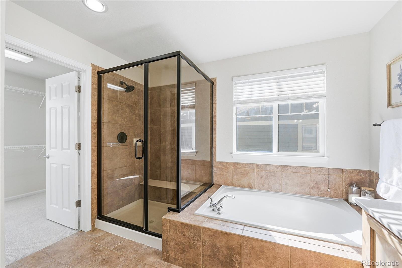 MLS Image #22 for 10468  wagon box circle,highlands ranch, Colorado