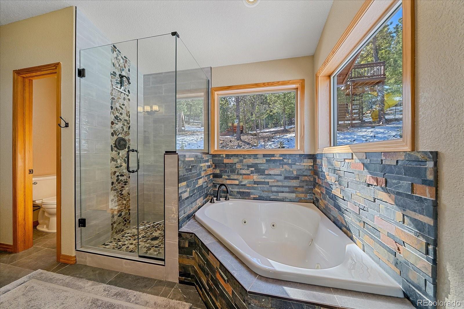 MLS Image #15 for 48  high view lane,bailey, Colorado