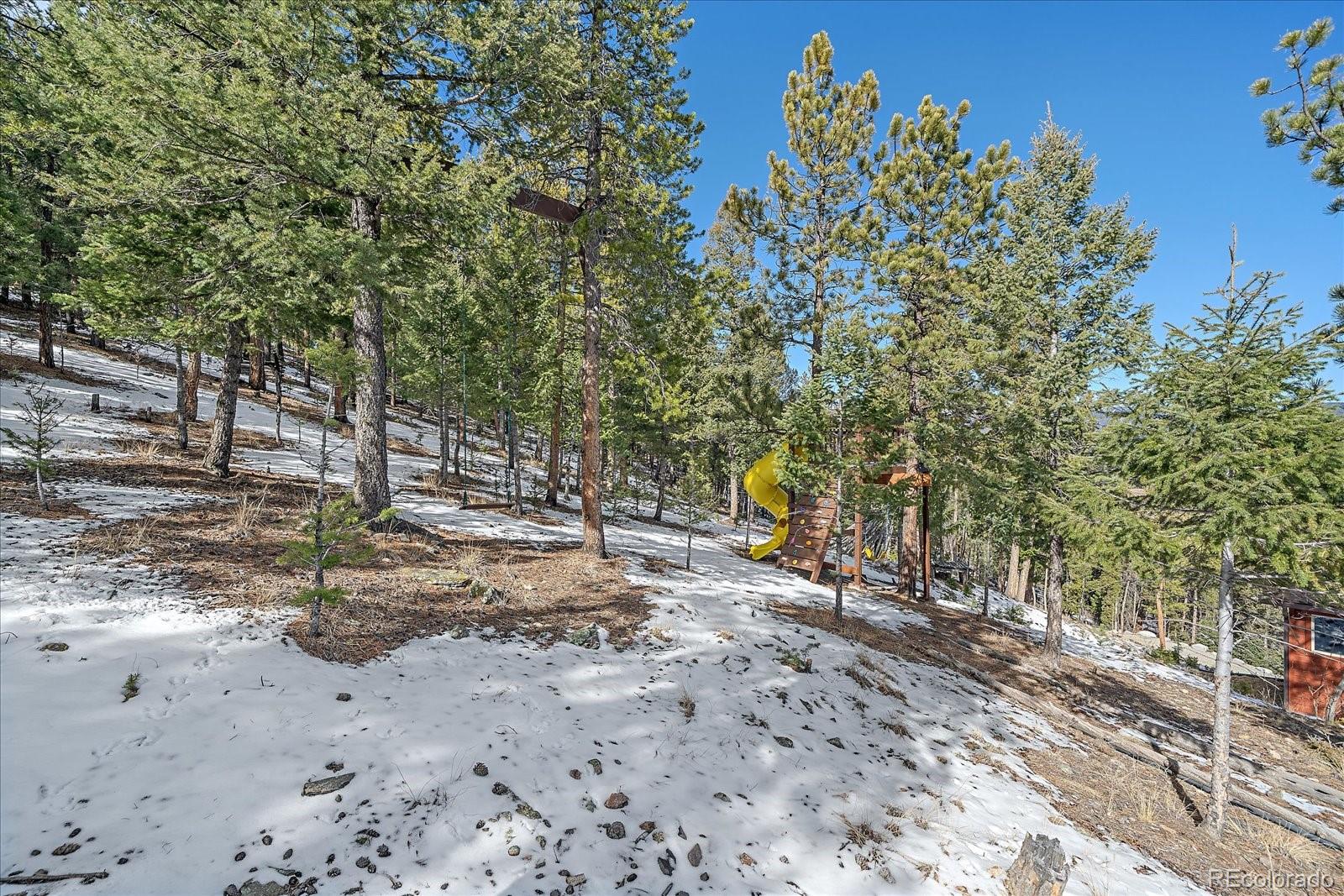MLS Image #42 for 48  high view lane,bailey, Colorado