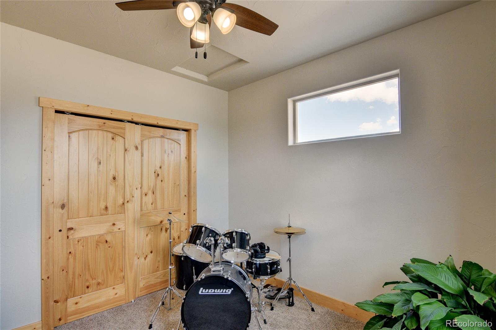 MLS Image #38 for 31377  glenview drive,buena vista, Colorado