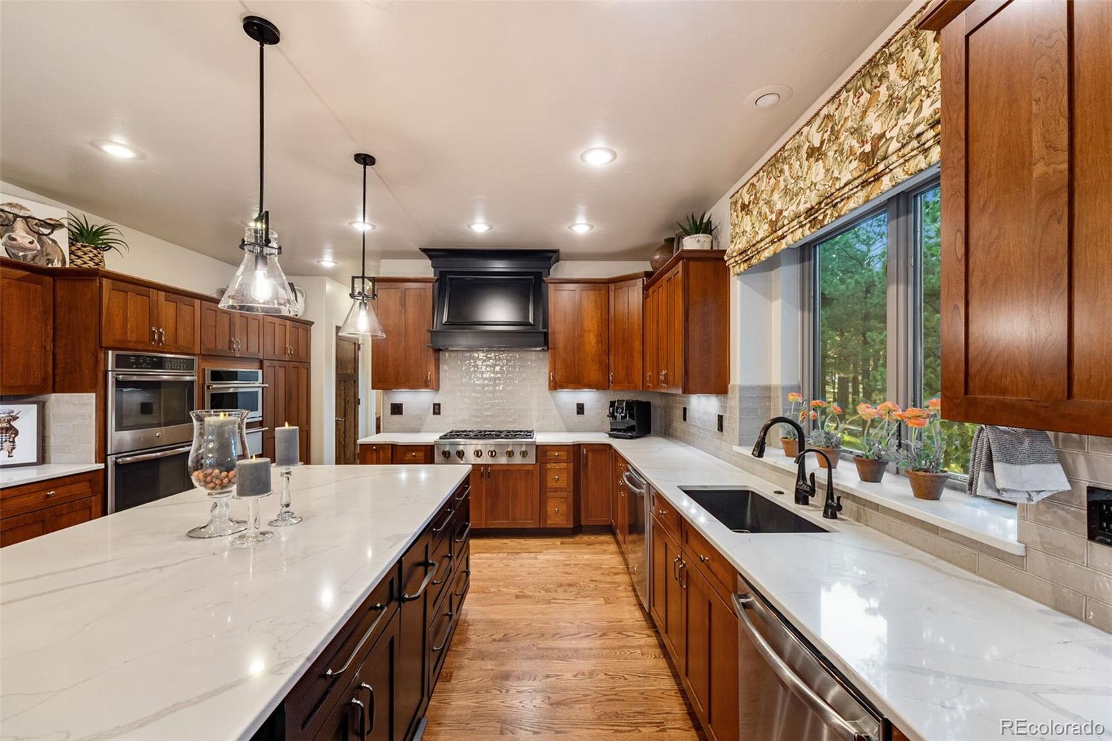MLS Image #6 for 12155  spine creek place,colorado springs, Colorado