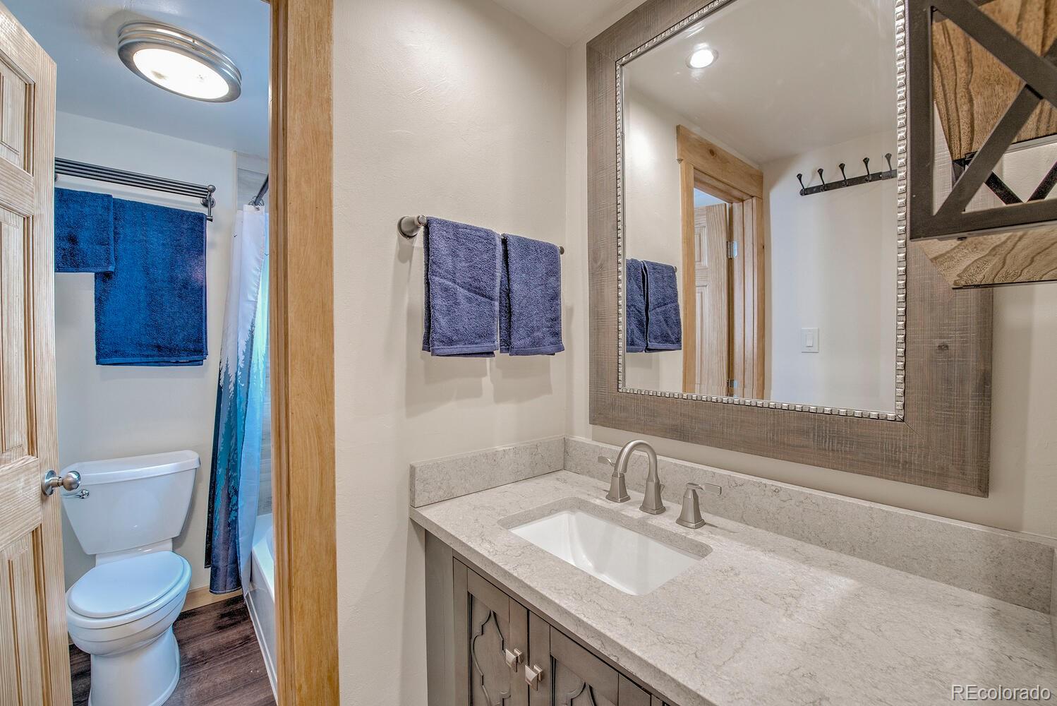 MLS Image #11 for 1133  straight creek drive,dillon, Colorado