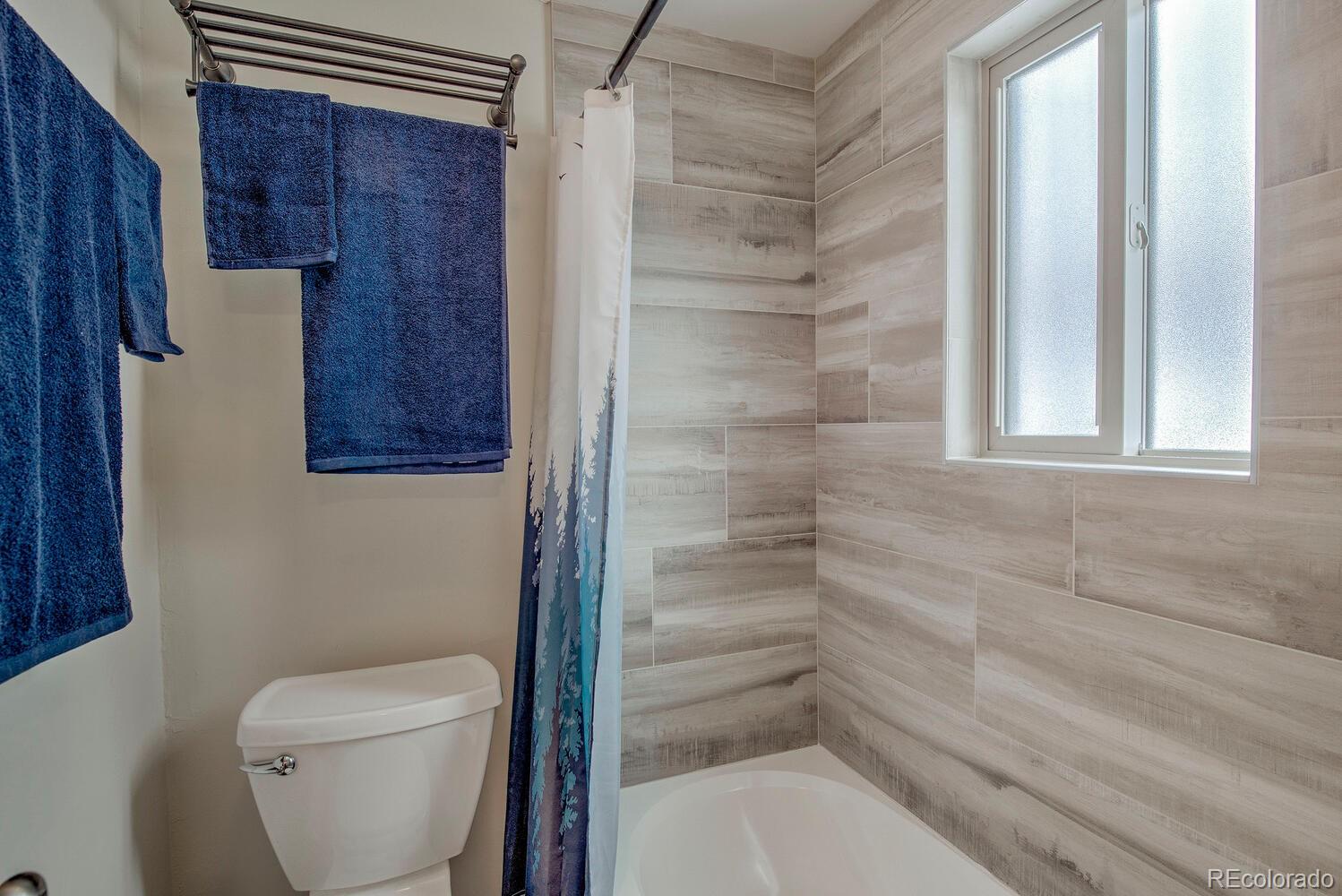 MLS Image #13 for 1133  straight creek drive,dillon, Colorado