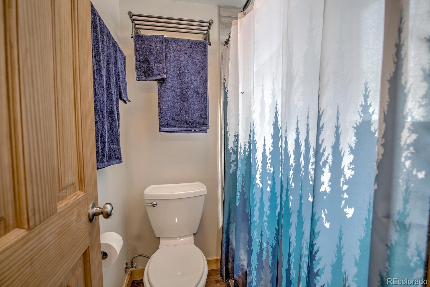 MLS Image #14 for 1133  straight creek drive,dillon, Colorado
