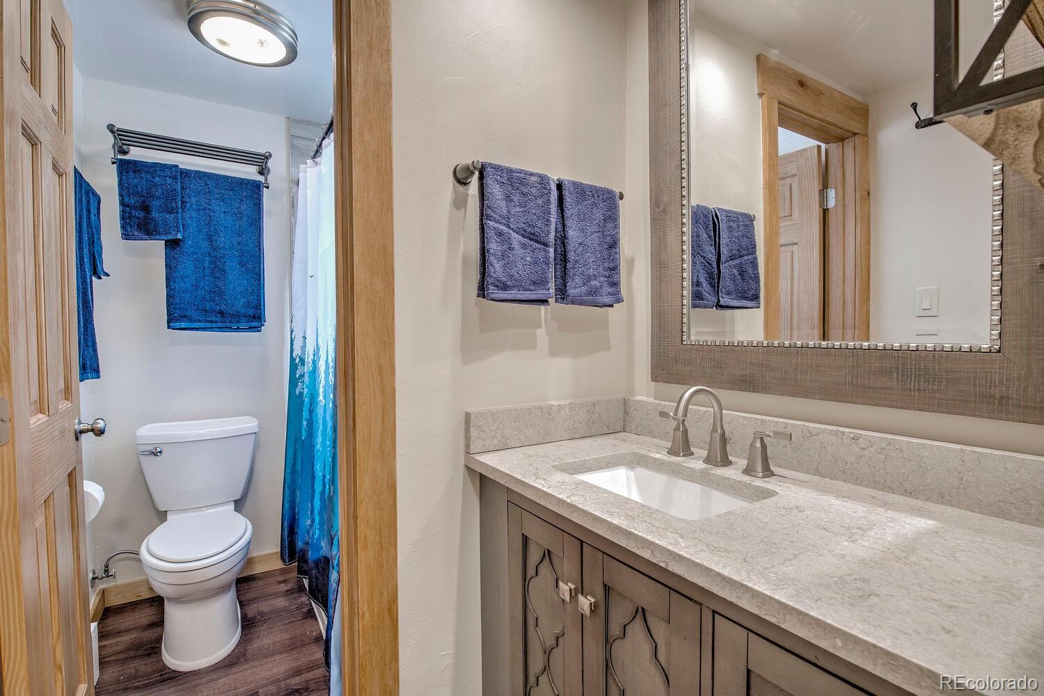 MLS Image #15 for 1133  straight creek drive,dillon, Colorado