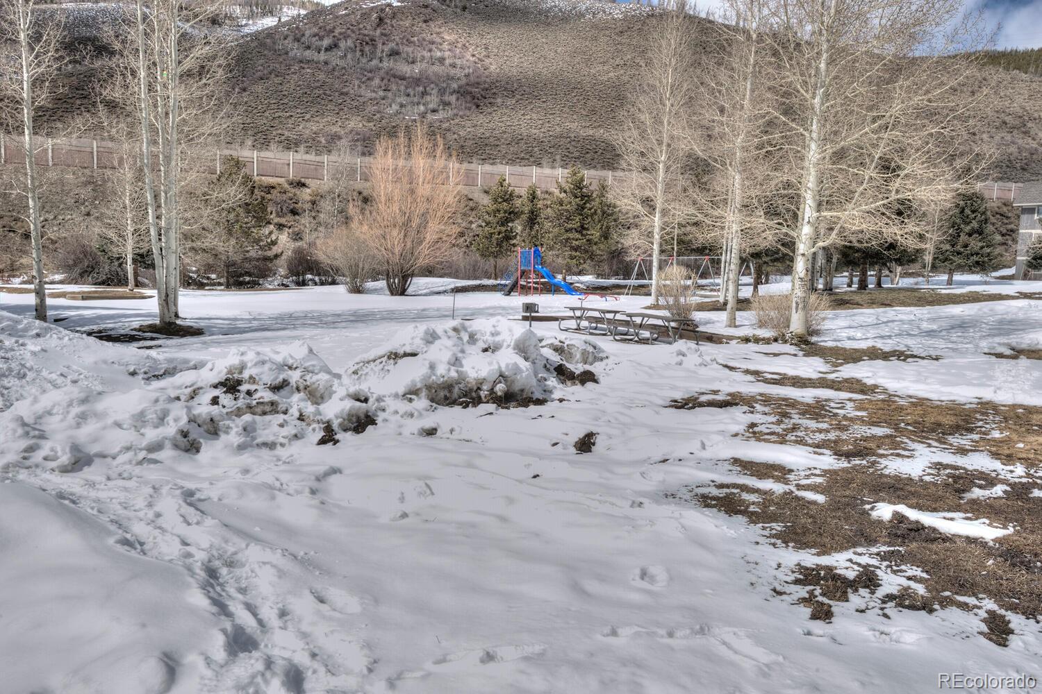 MLS Image #26 for 1133  straight creek drive,dillon, Colorado