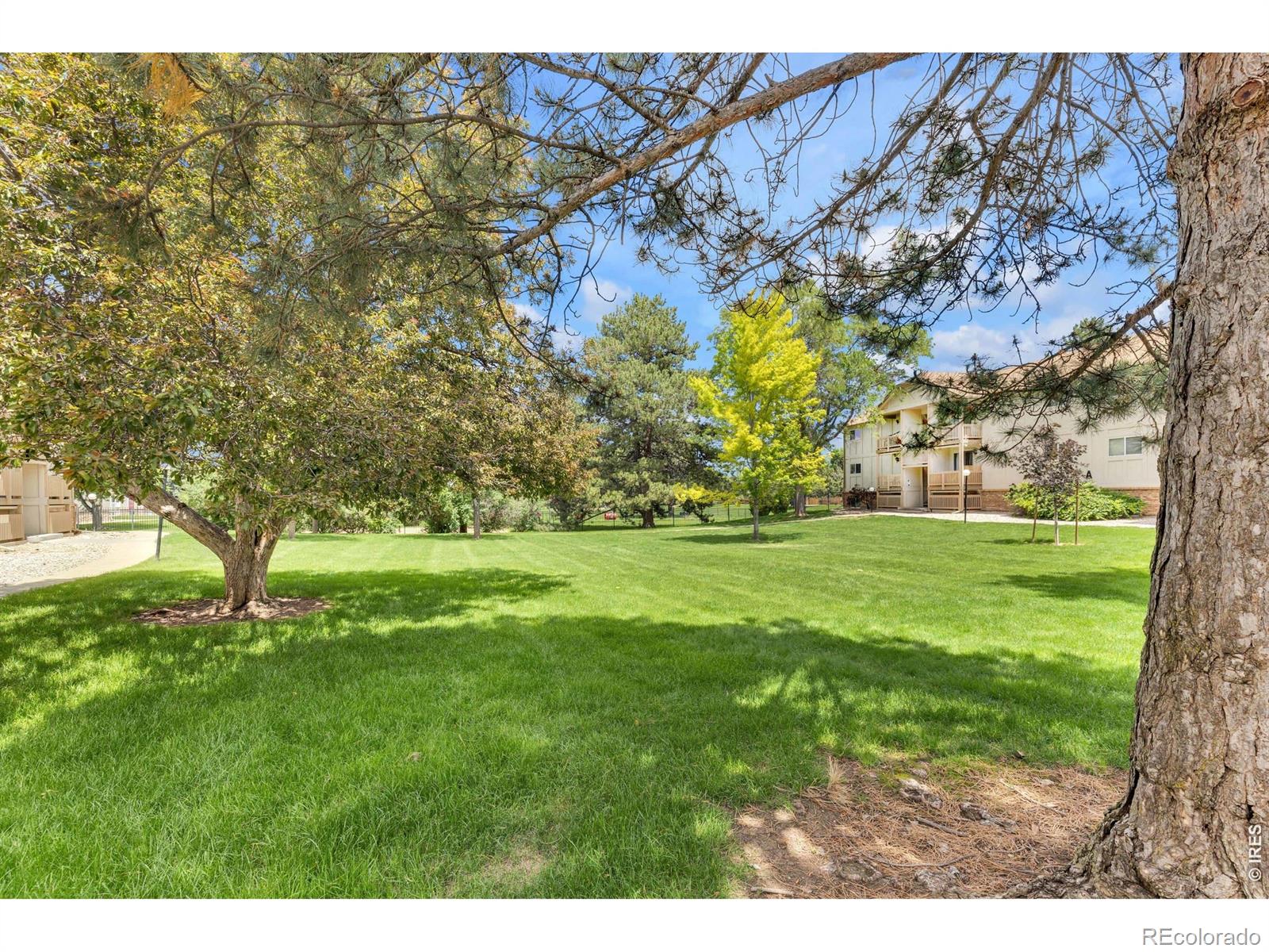MLS Image #21 for 1024 e swallow road,fort collins, Colorado