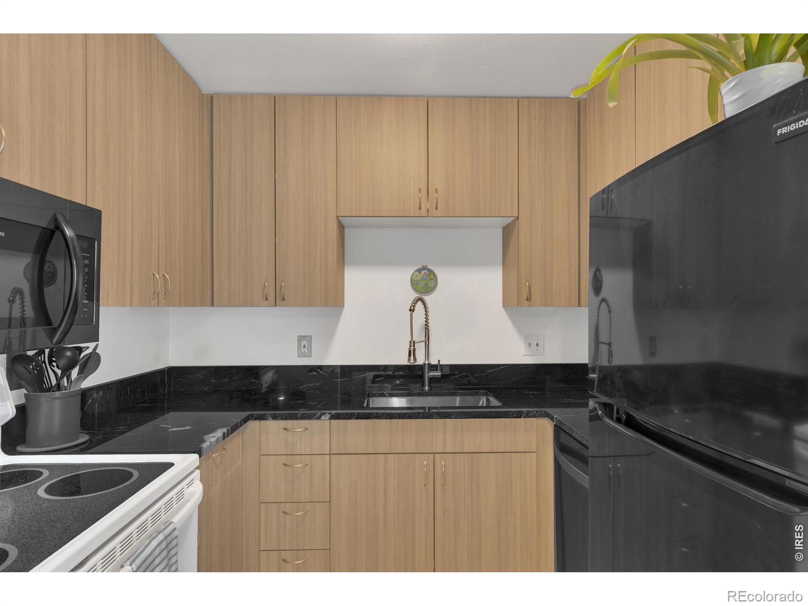 MLS Image #9 for 1024 e swallow road,fort collins, Colorado