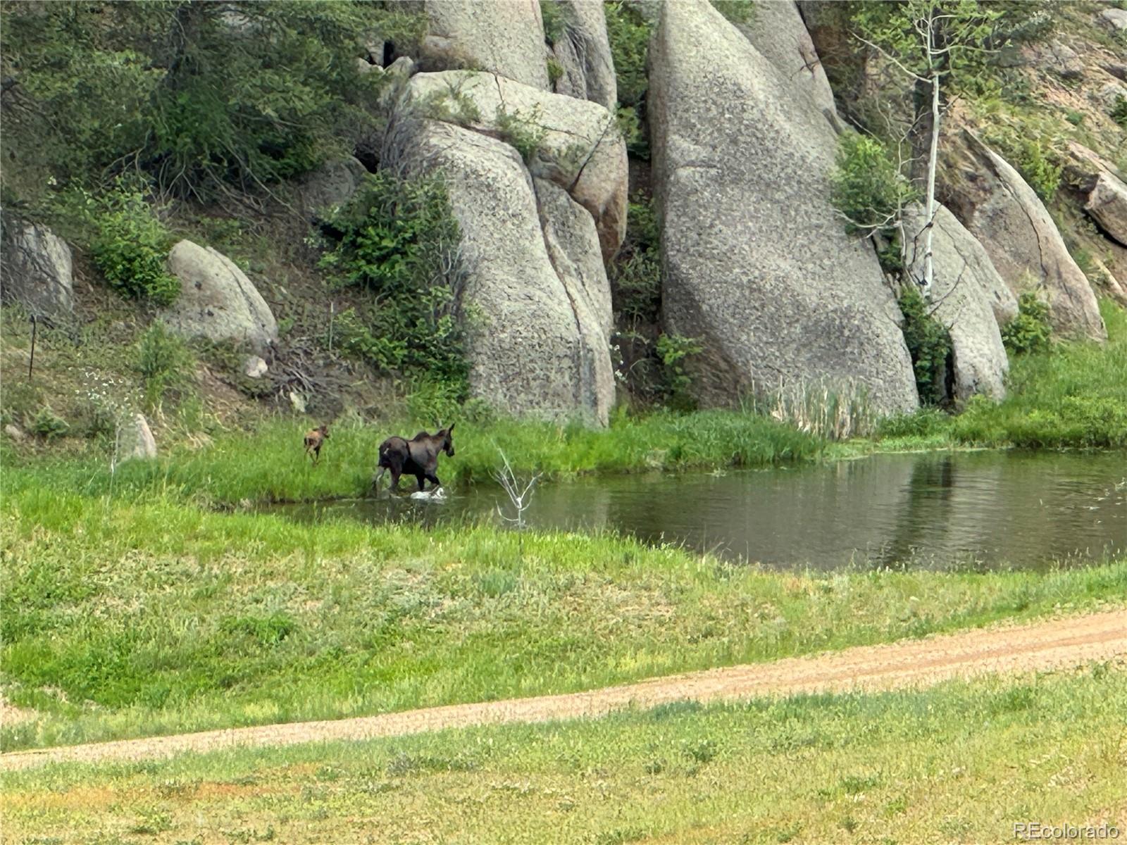 MLS Image #28 for 60 n county highway 67 ,sedalia, Colorado