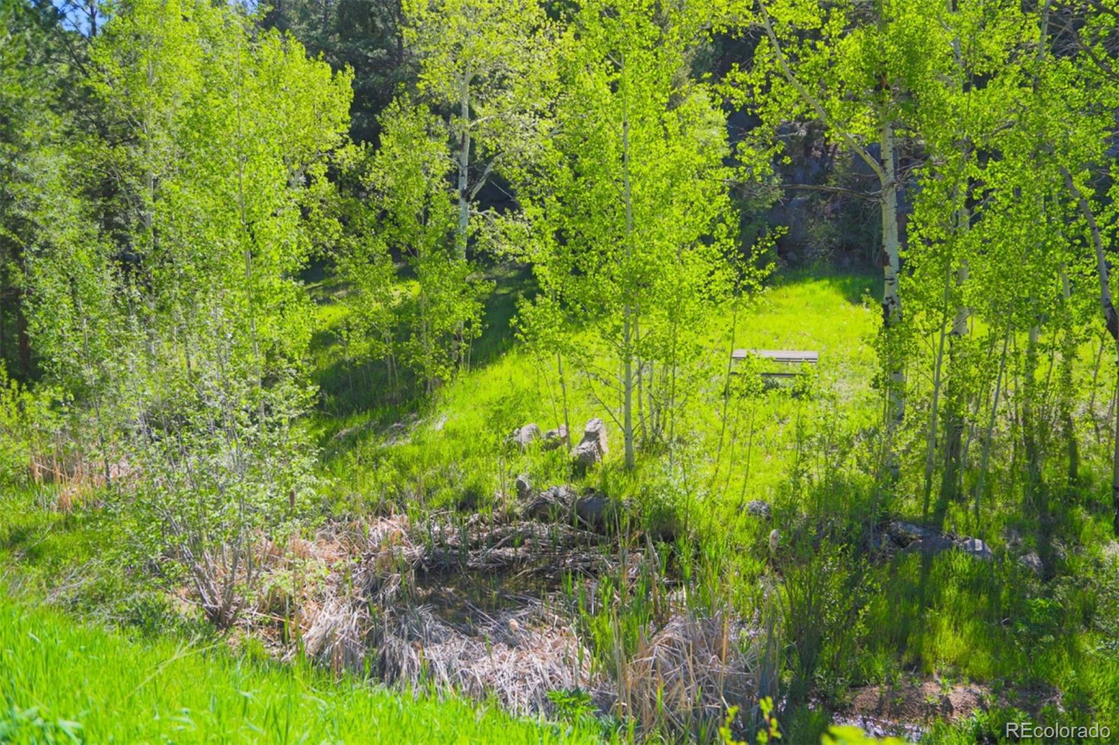 MLS Image #39 for 60 n county highway 67 ,sedalia, Colorado