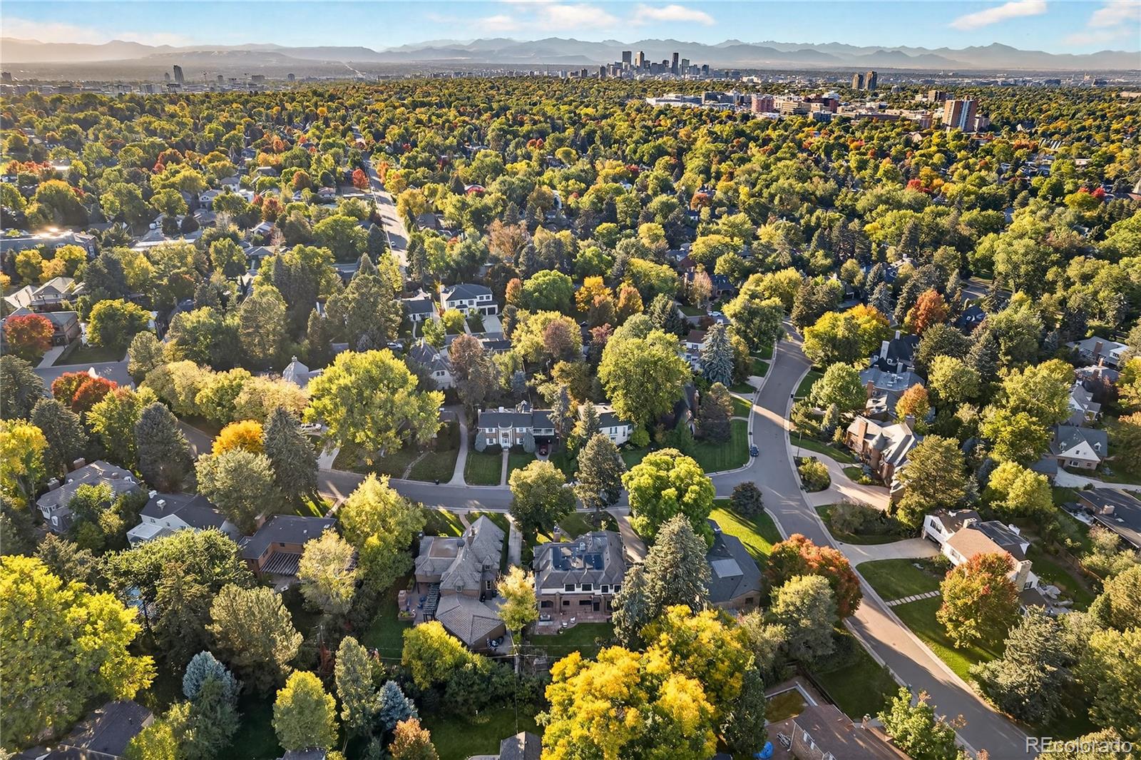 MLS Image #46 for 370  ivy street,denver, Colorado