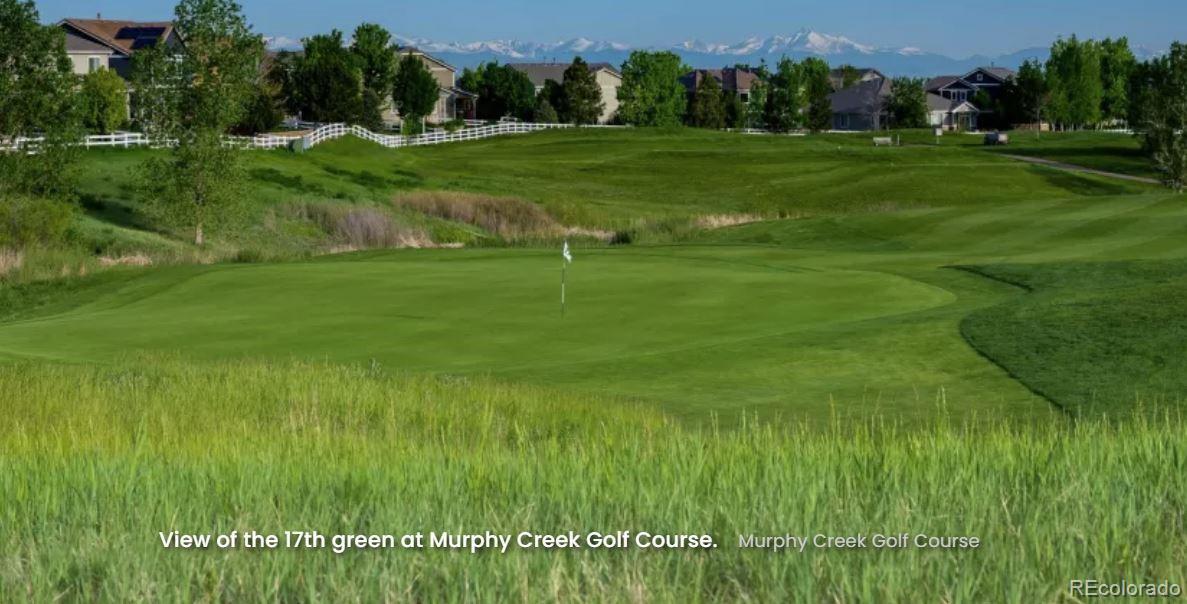 MLS Image #17 for 1290 s algonquian ,aurora, Colorado
