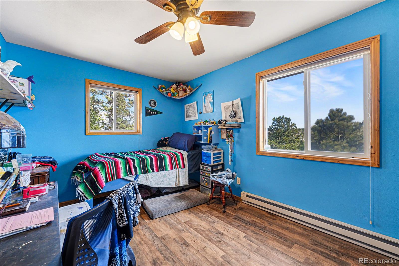 MLS Image #10 for 319  springmeadow way,red feather lakes, Colorado