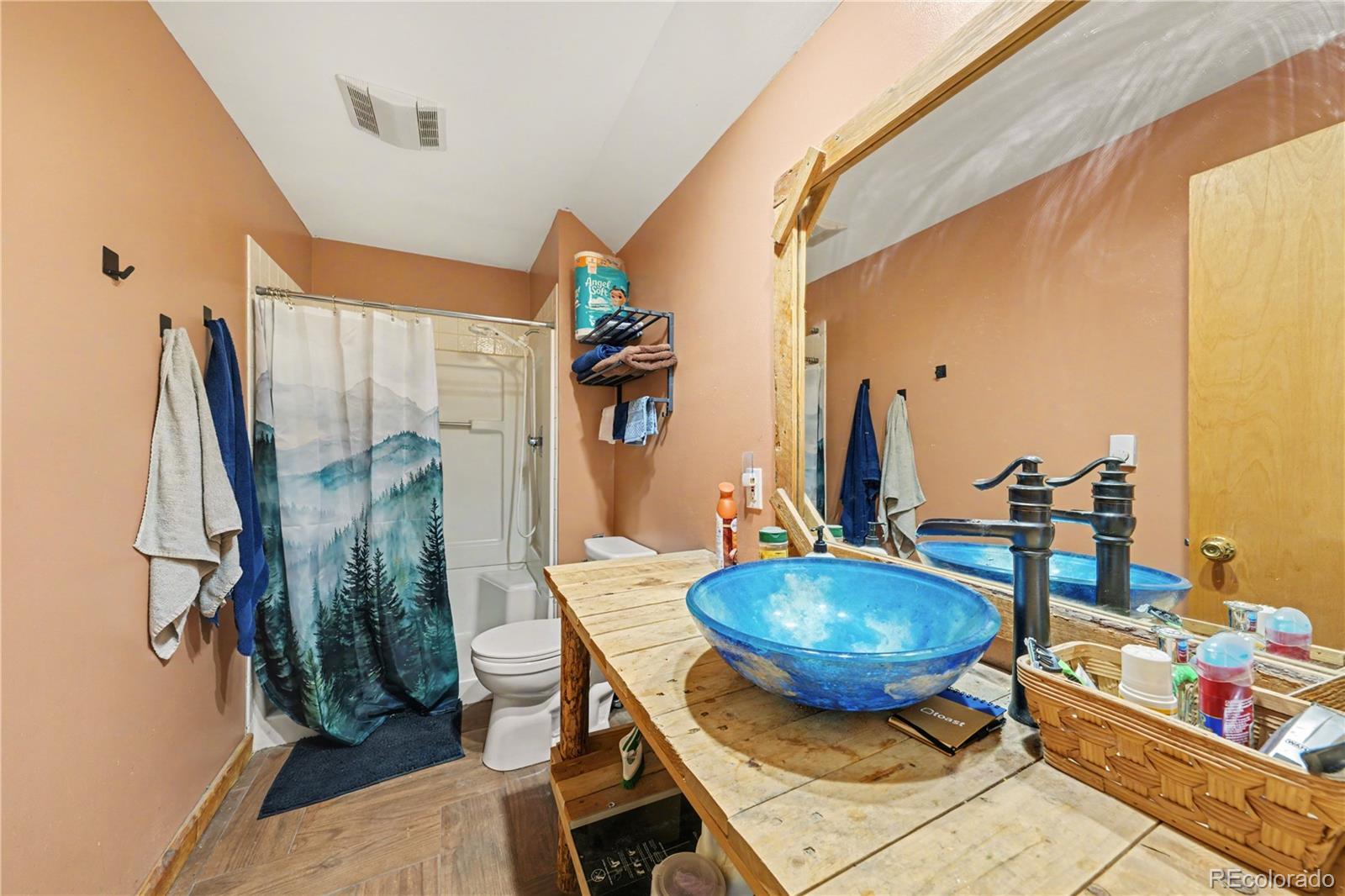 MLS Image #17 for 319  springmeadow way,red feather lakes, Colorado
