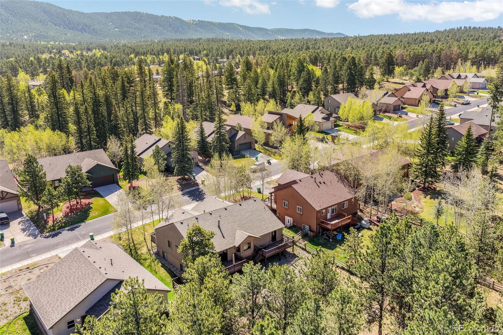 MLS Image #2 for 1116  ptarmigan drive,woodland park, Colorado