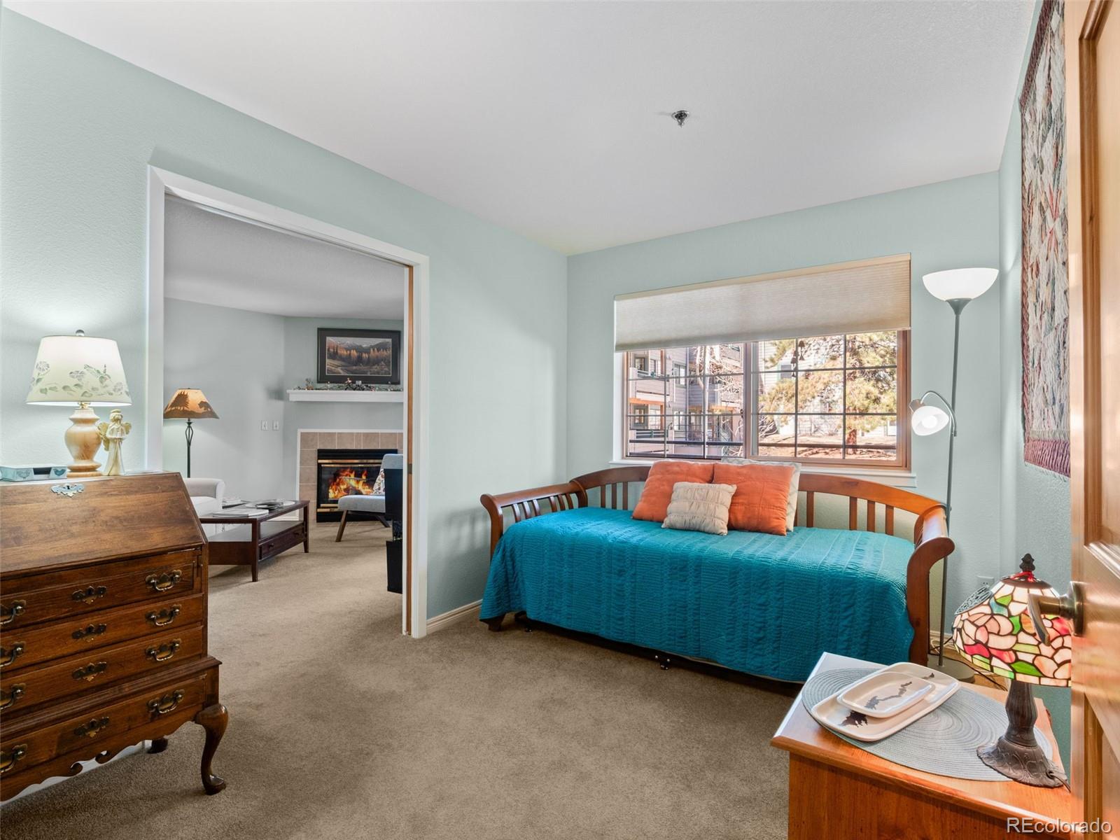 MLS Image #15 for 31819  rocky village drive,evergreen, Colorado