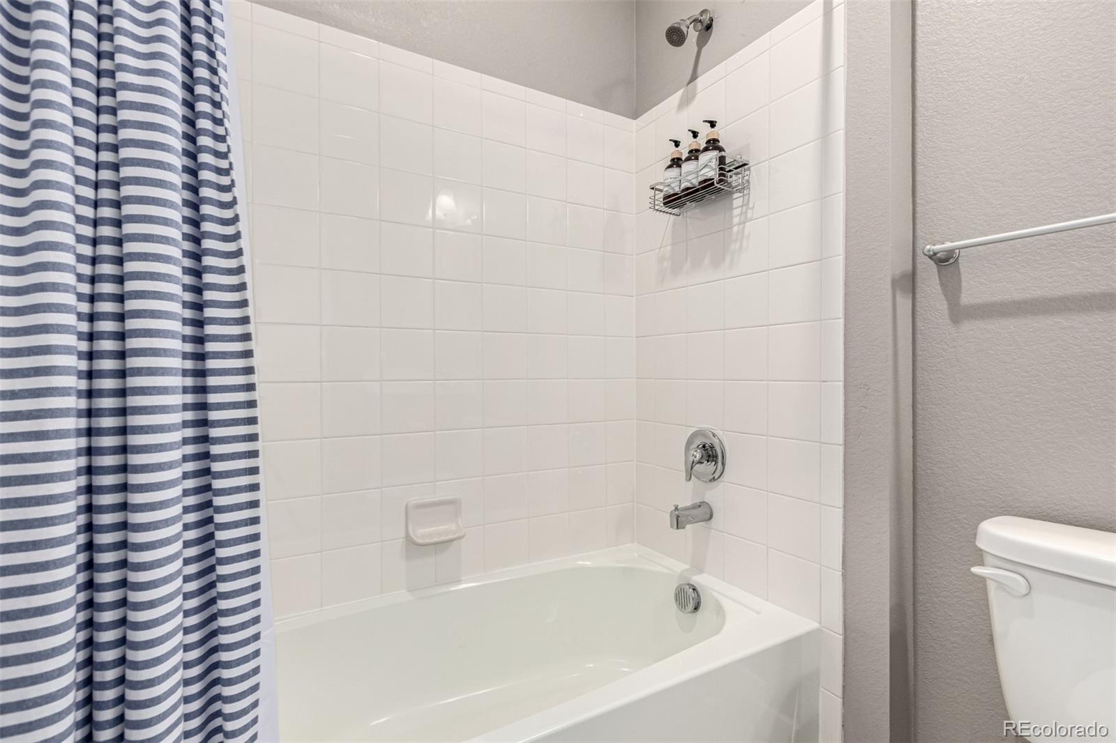 MLS Image #14 for 17200  red cosmos point,parker, Colorado