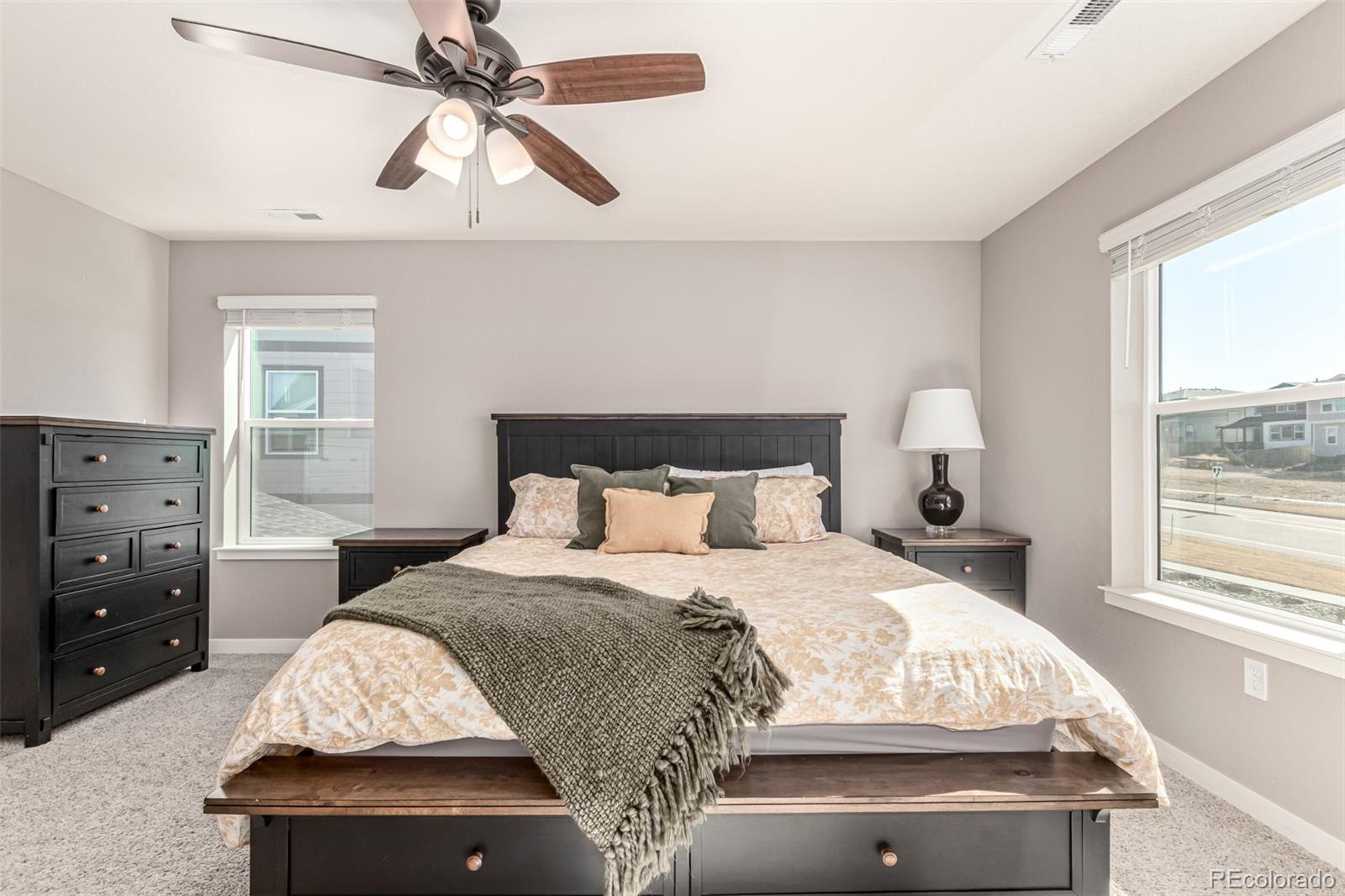 MLS Image #19 for 17200  red cosmos point,parker, Colorado