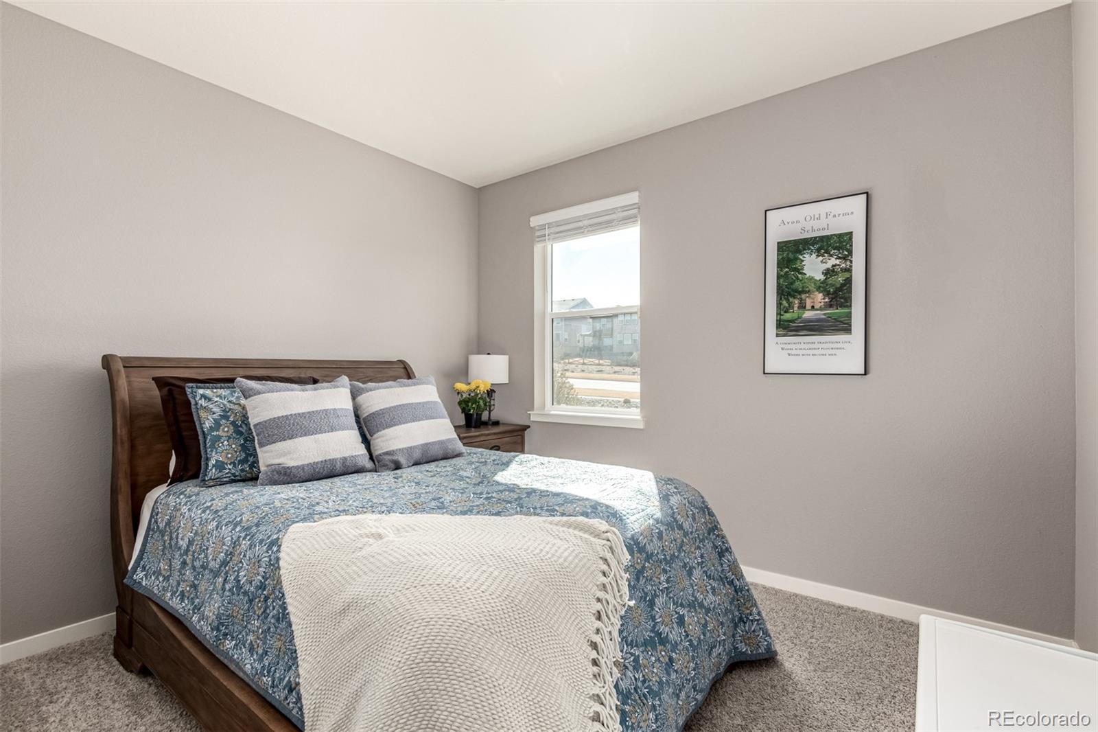 MLS Image #22 for 17200  red cosmos point,parker, Colorado