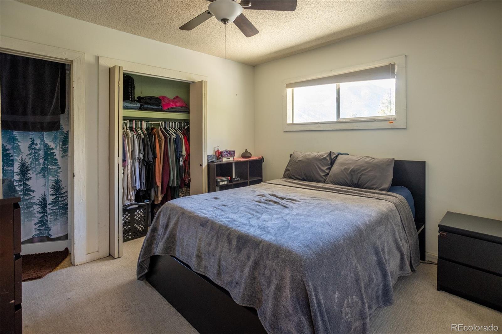 MLS Image #29 for 16695  county road 162 ,nathrop, Colorado