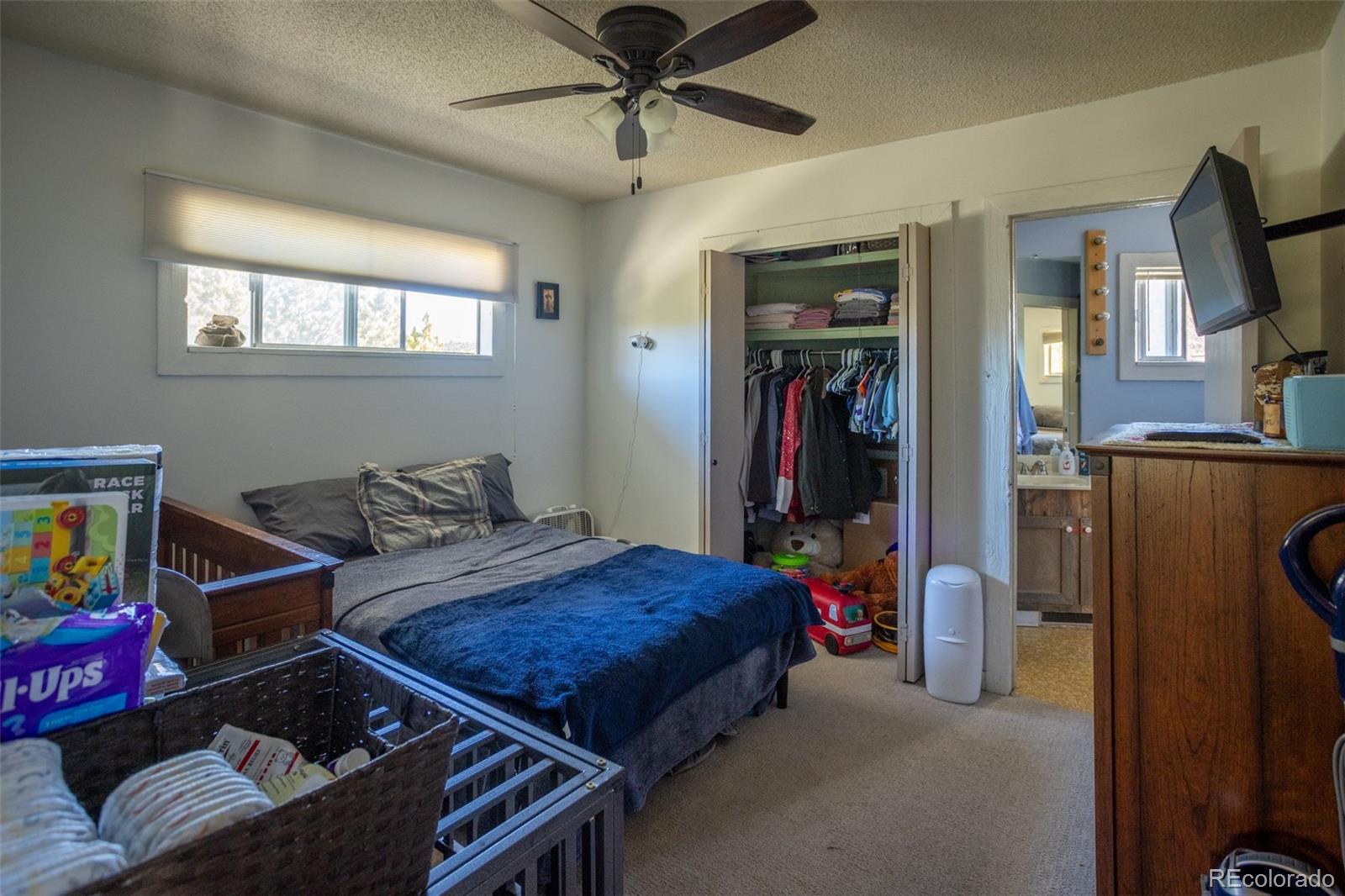 MLS Image #30 for 16695  county road 162 ,nathrop, Colorado