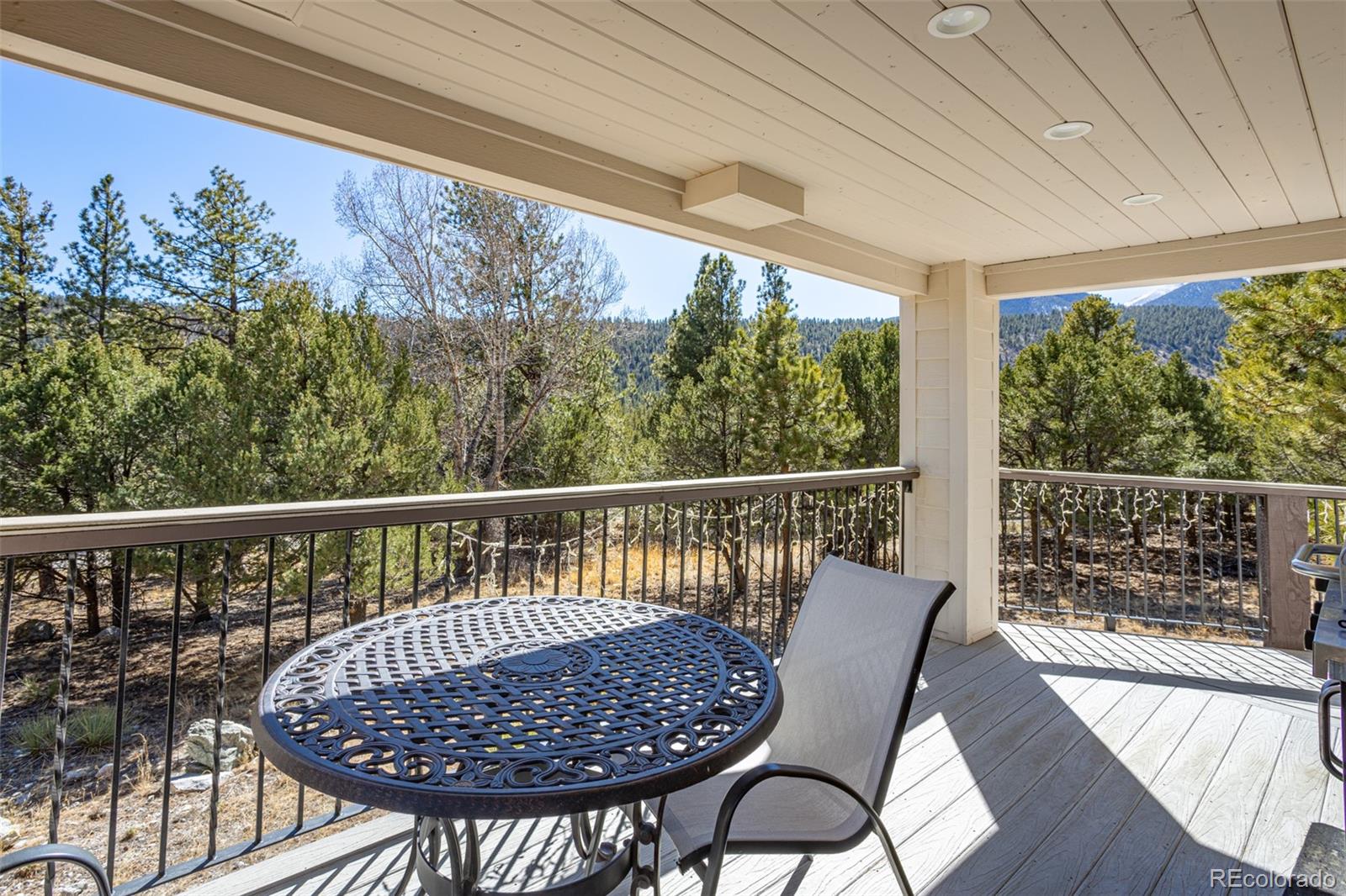MLS Image #32 for 16695  county road 162 ,nathrop, Colorado