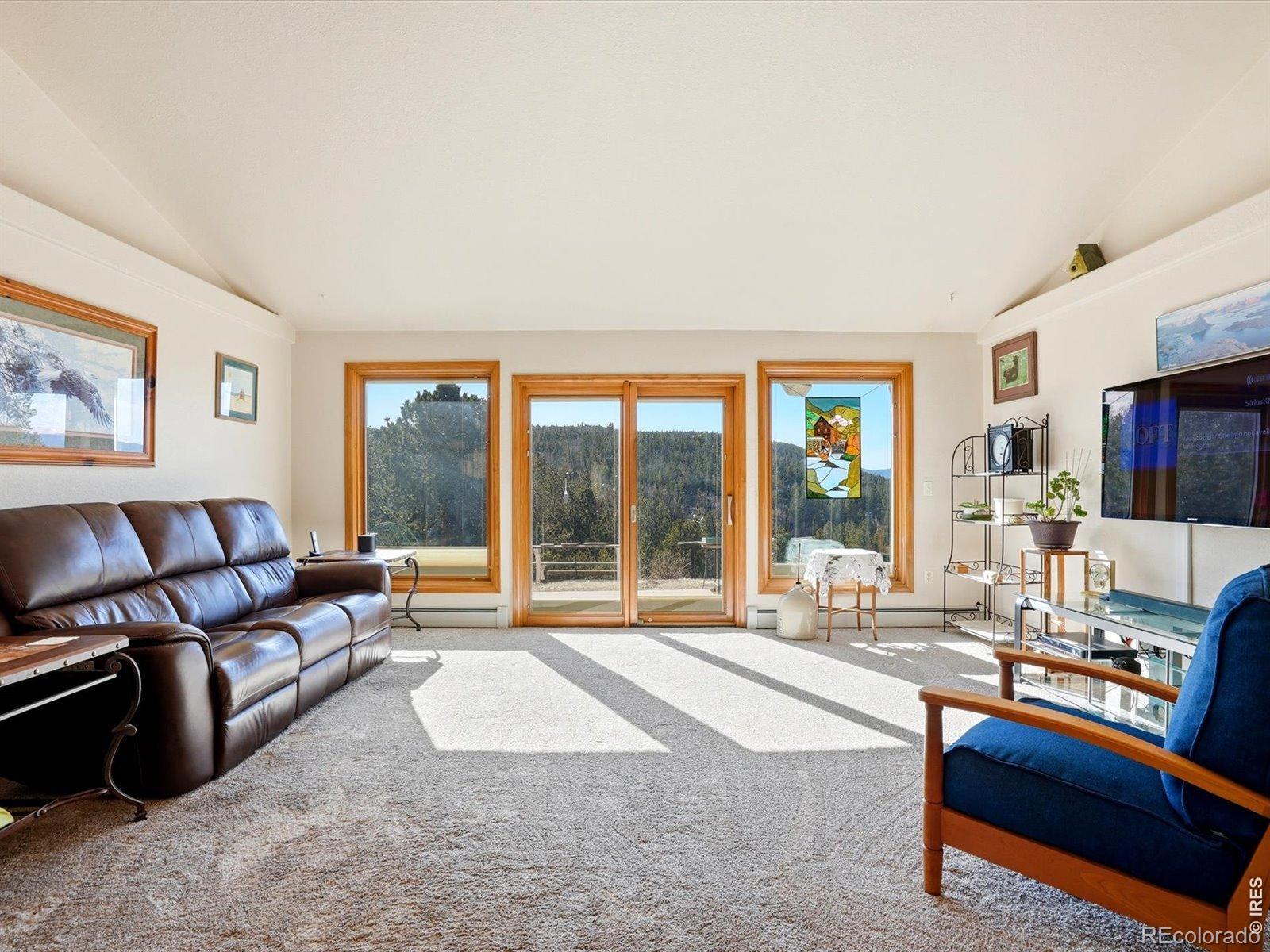 MLS Image #12 for 2979  coyote circle,black hawk, Colorado