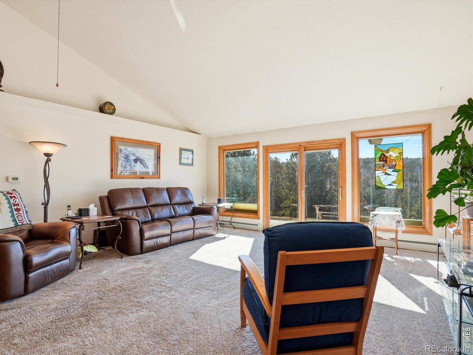 MLS Image #13 for 2979  coyote circle,black hawk, Colorado
