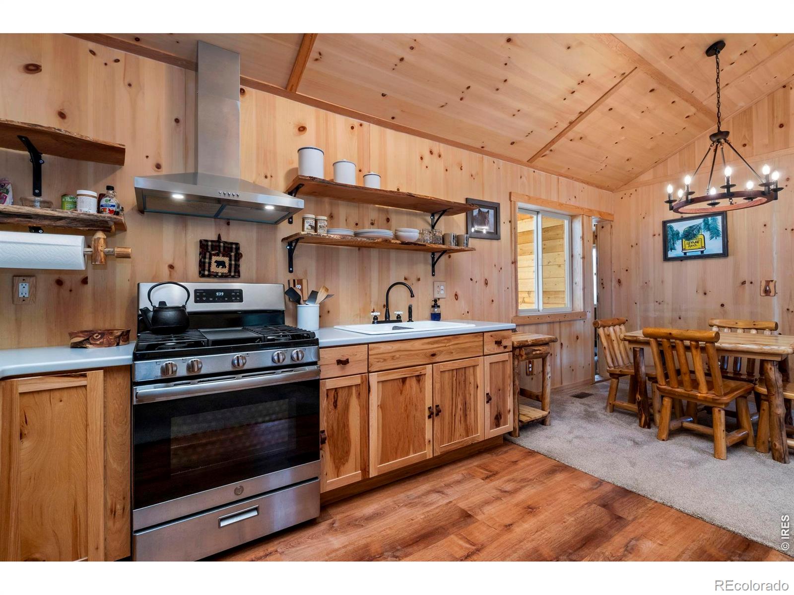 MLS Image #10 for 151  mount massive drive,livermore, Colorado