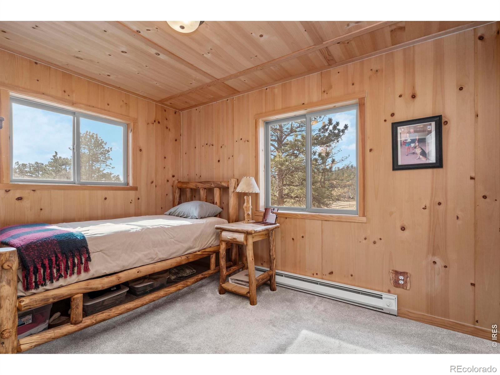 MLS Image #16 for 151  mount massive drive,livermore, Colorado