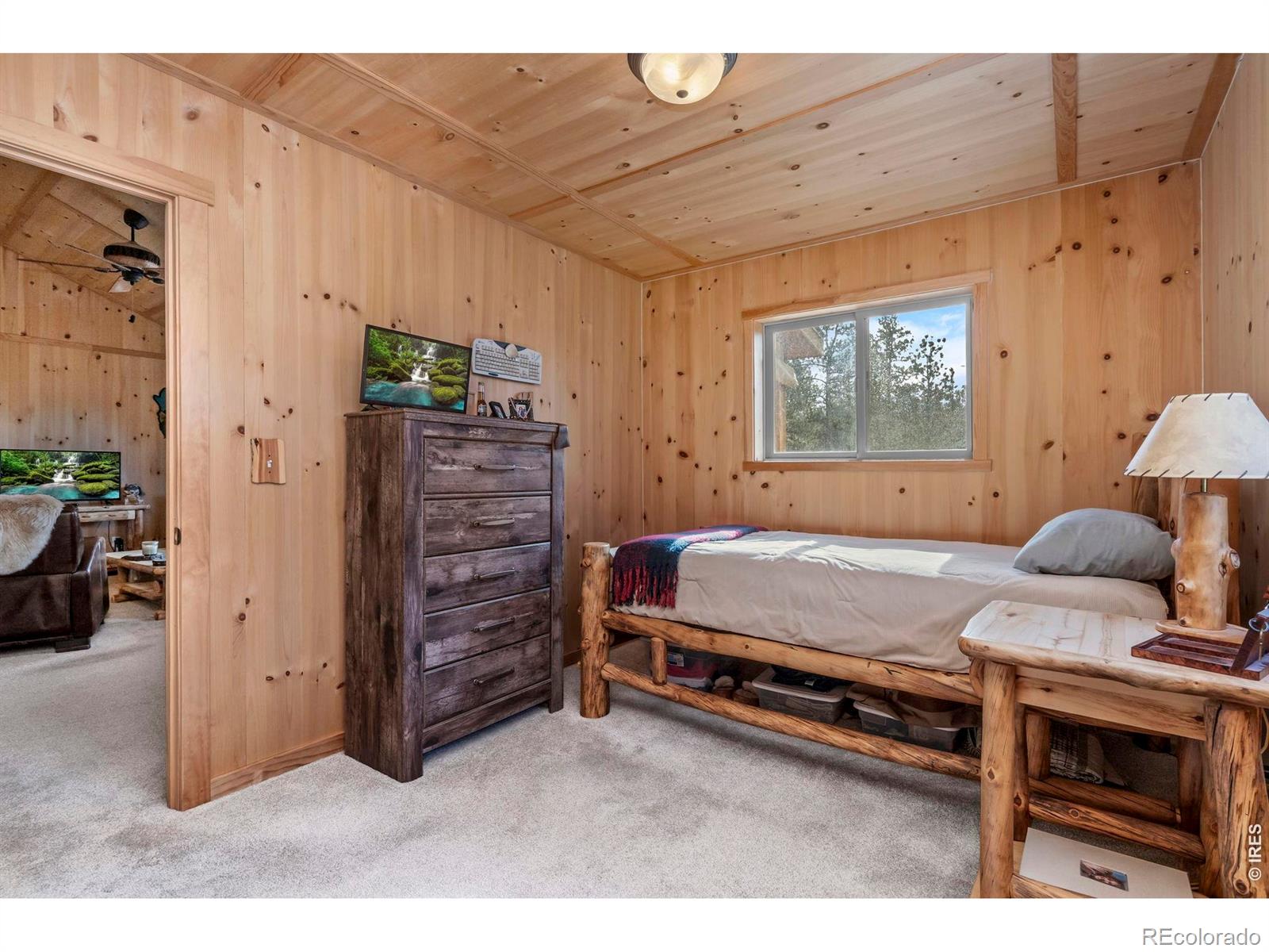 MLS Image #17 for 151  mount massive drive,livermore, Colorado