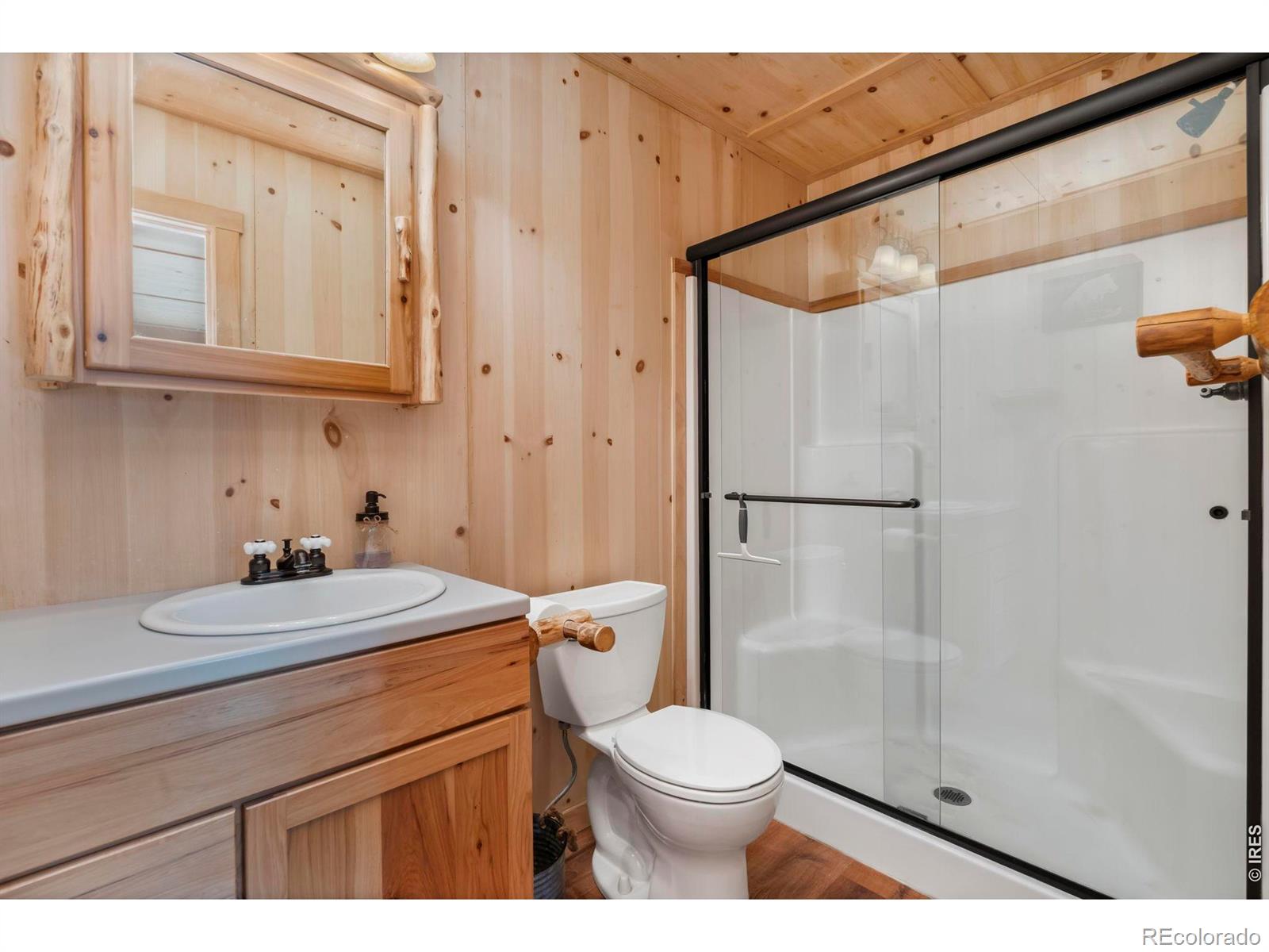 MLS Image #18 for 151  mount massive drive,livermore, Colorado