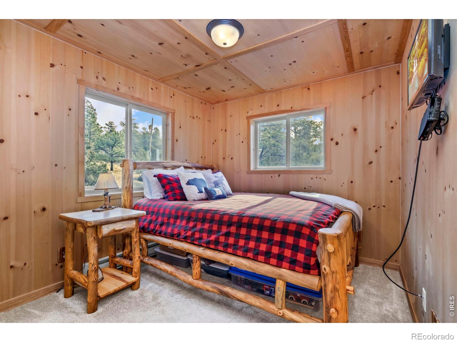 MLS Image #19 for 151  mount massive drive,livermore, Colorado