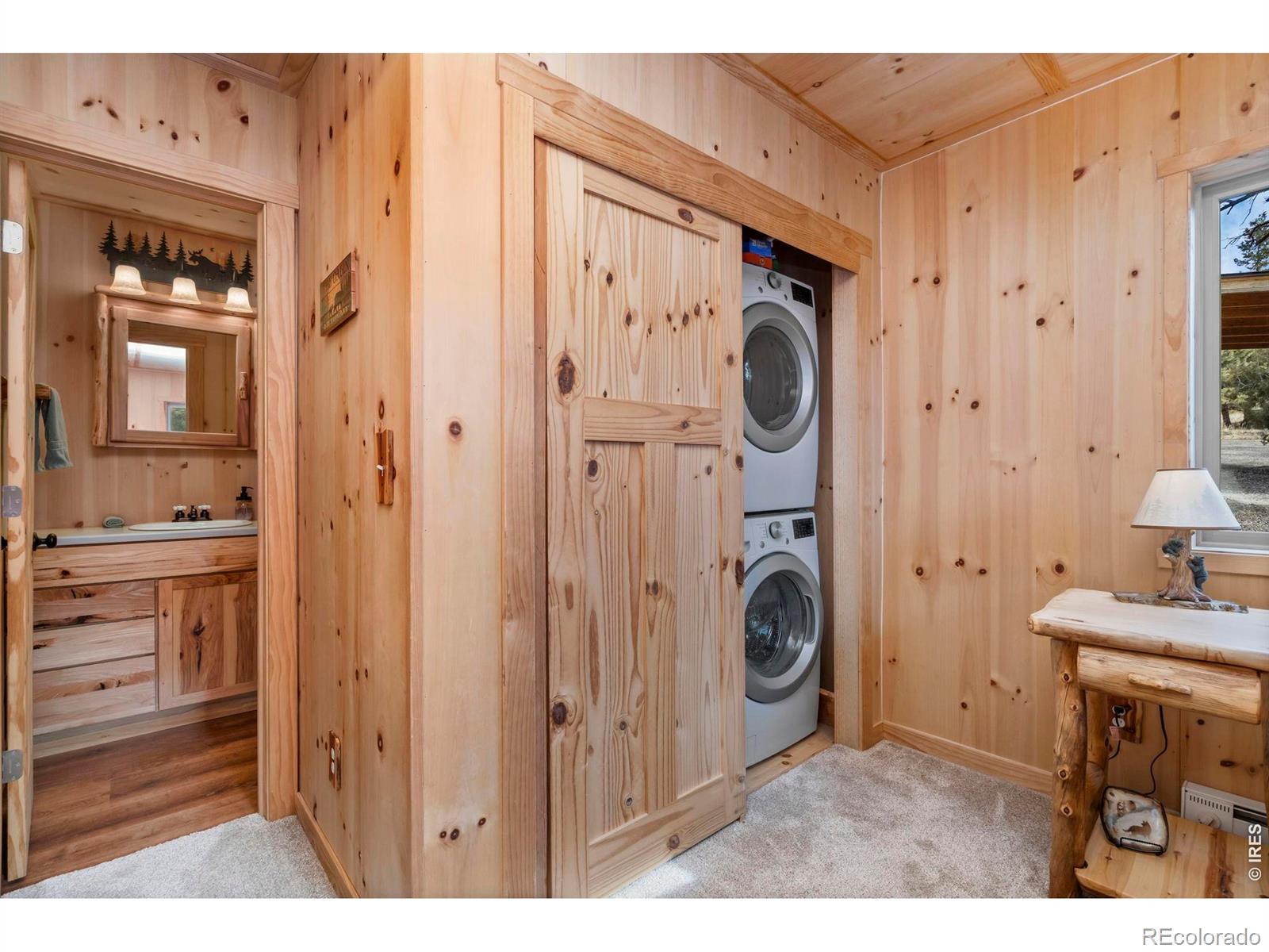 MLS Image #21 for 151  mount massive drive,livermore, Colorado
