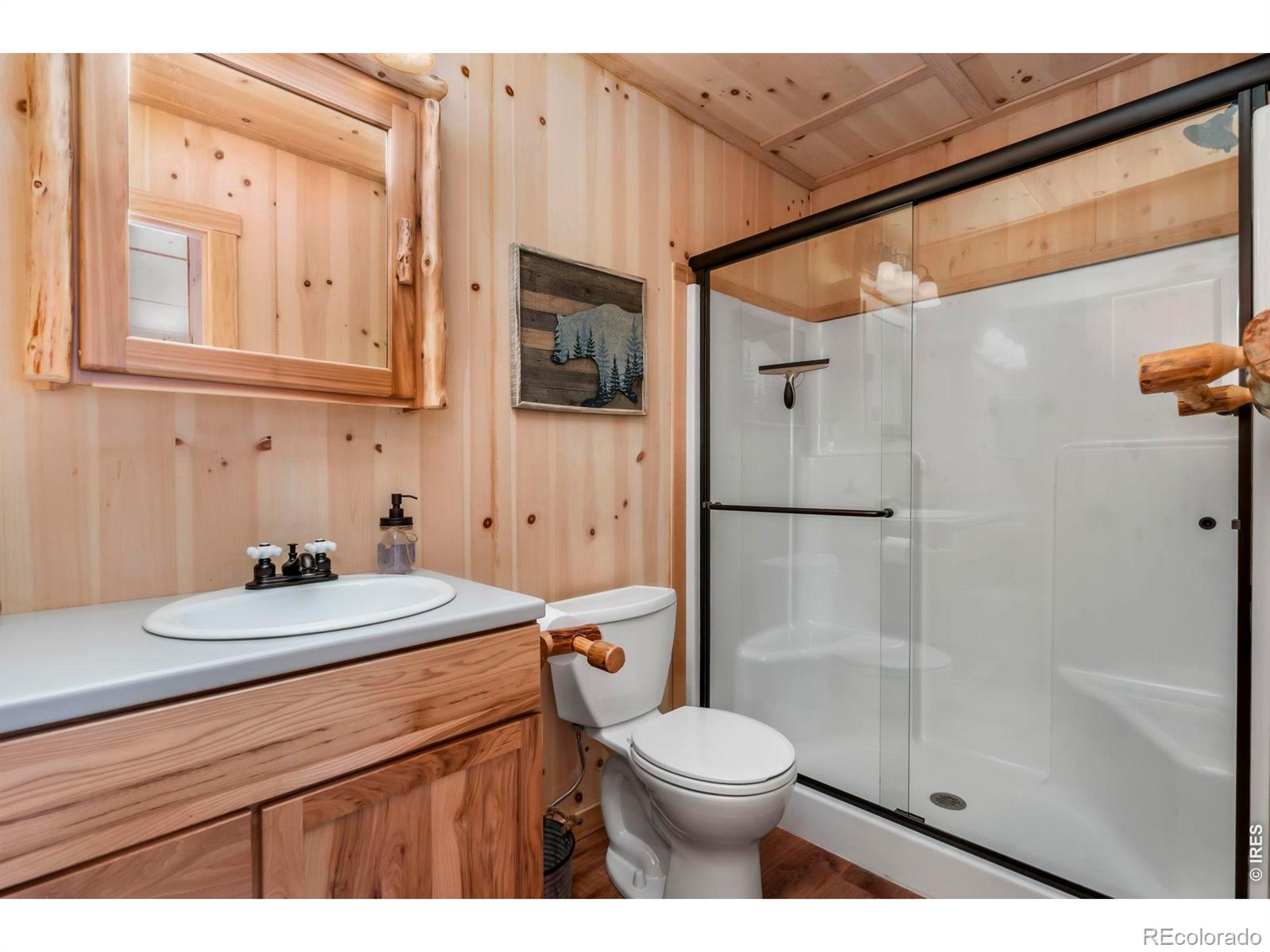 MLS Image #22 for 151  mount massive drive,livermore, Colorado