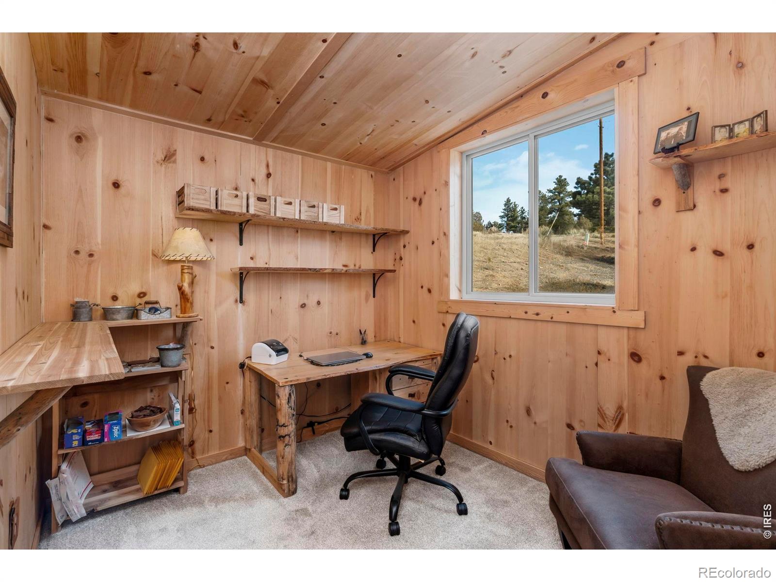 MLS Image #23 for 151  mount massive drive,livermore, Colorado