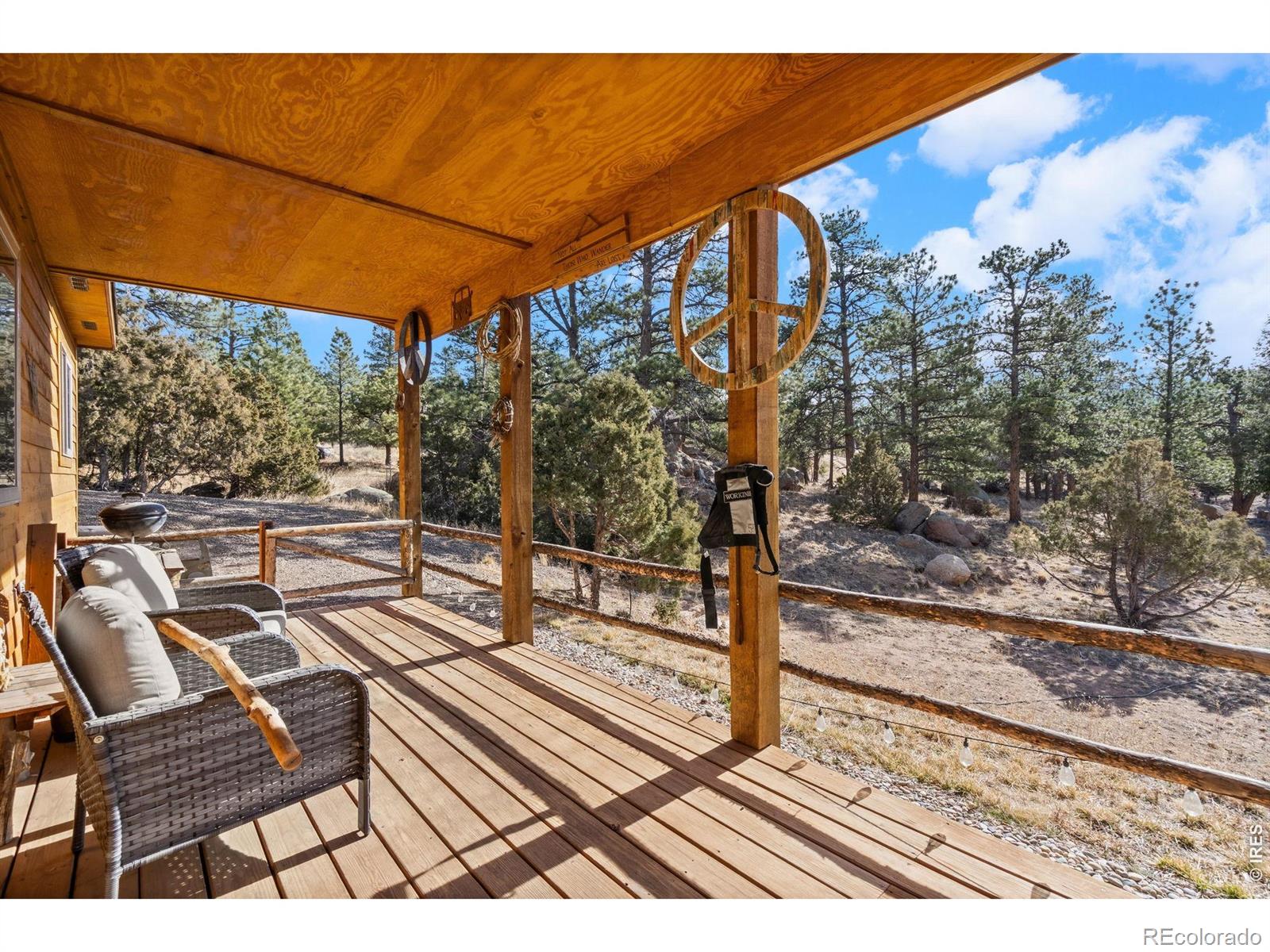 MLS Image #25 for 151  mount massive drive,livermore, Colorado