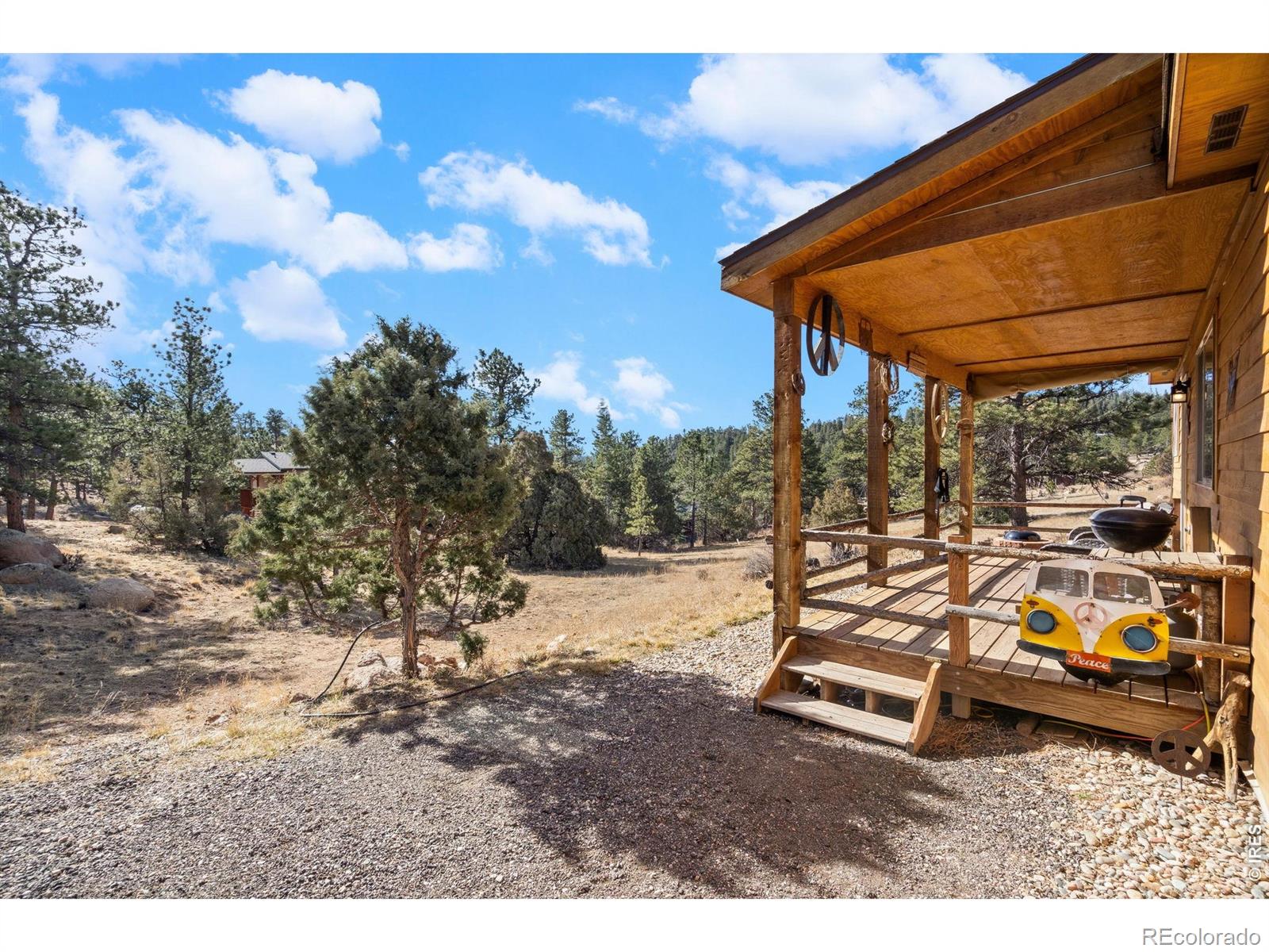 MLS Image #28 for 151  mount massive drive,livermore, Colorado