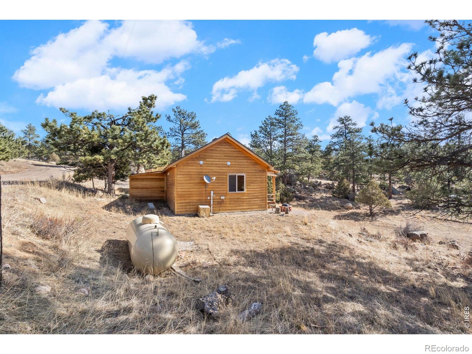 MLS Image #37 for 151  mount massive drive,livermore, Colorado