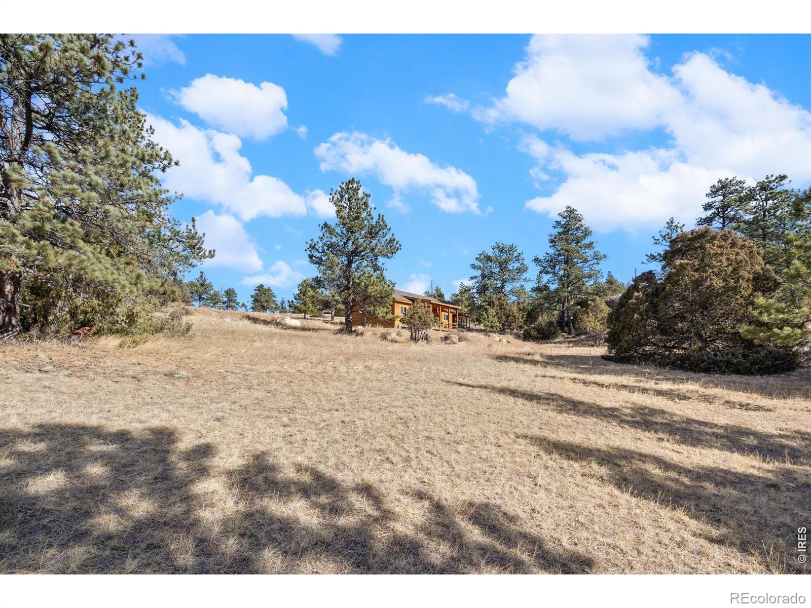 MLS Image #38 for 151  mount massive drive,livermore, Colorado
