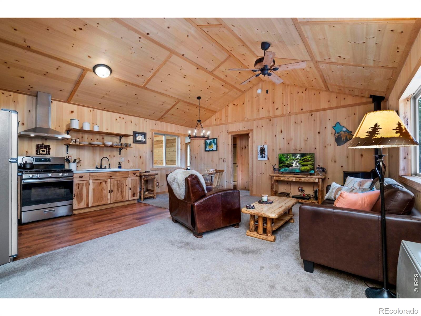 MLS Image #5 for 151  mount massive drive,livermore, Colorado